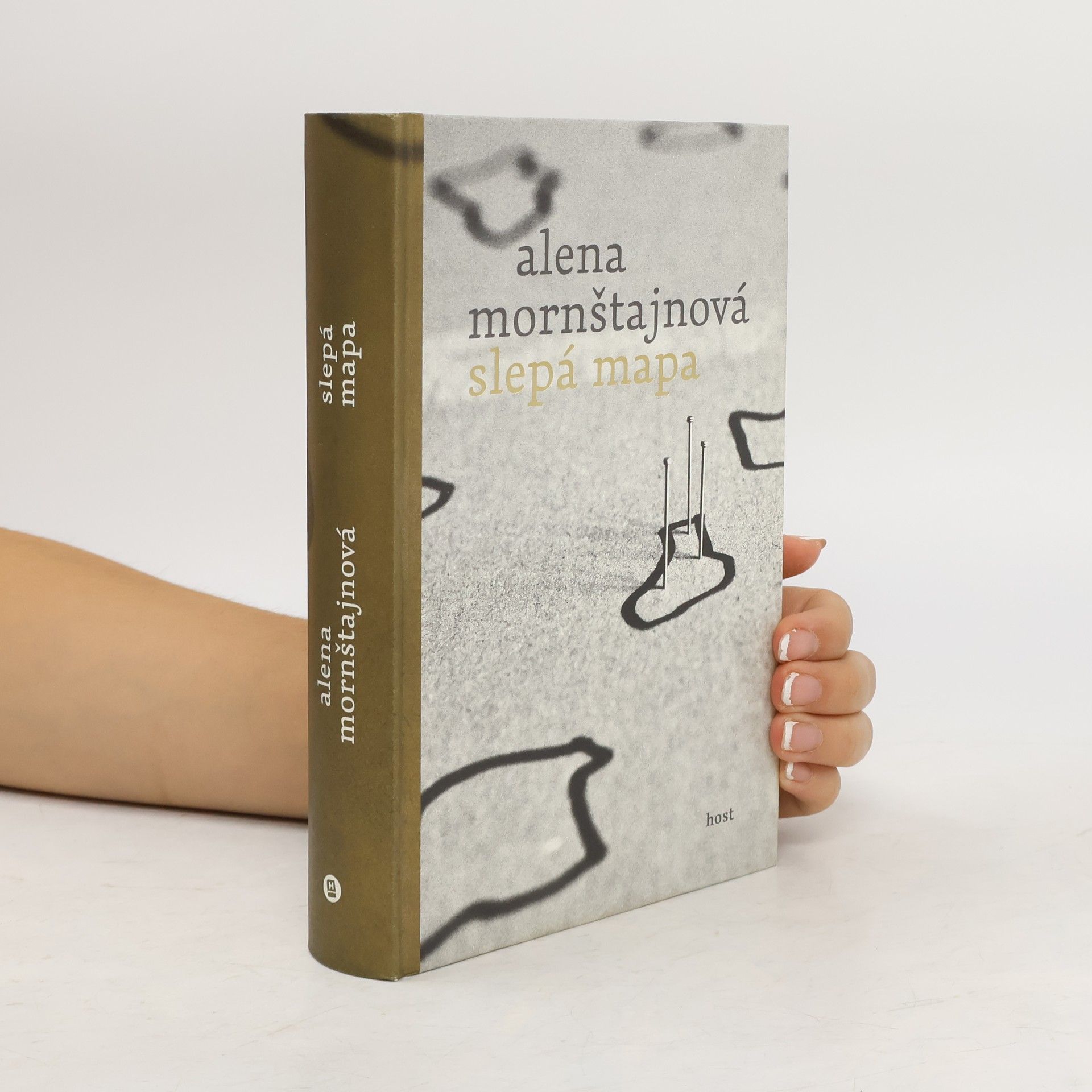 Alena Mornštajnová Slepá mapa