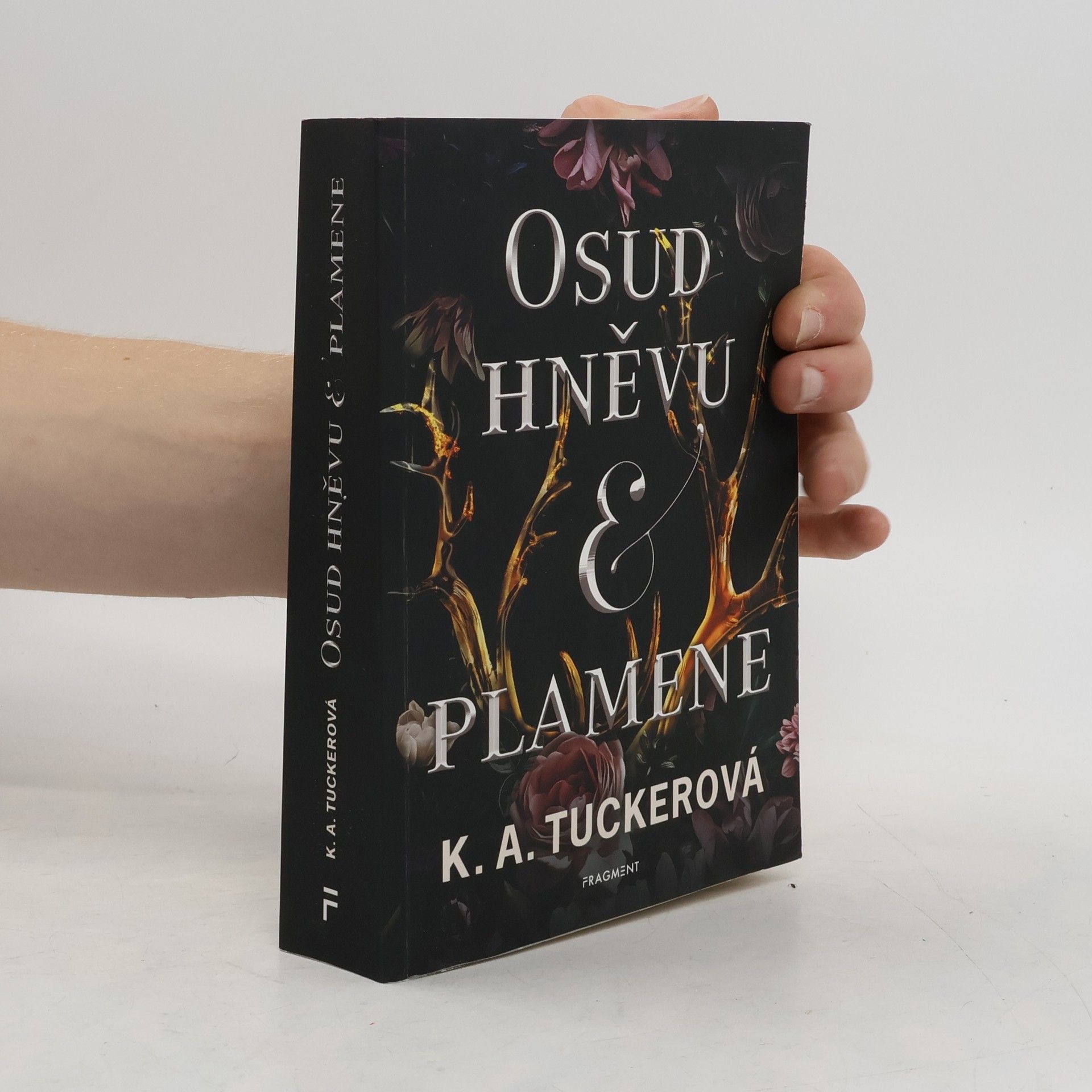 K. A. Tucker Osud hněvu & plamene