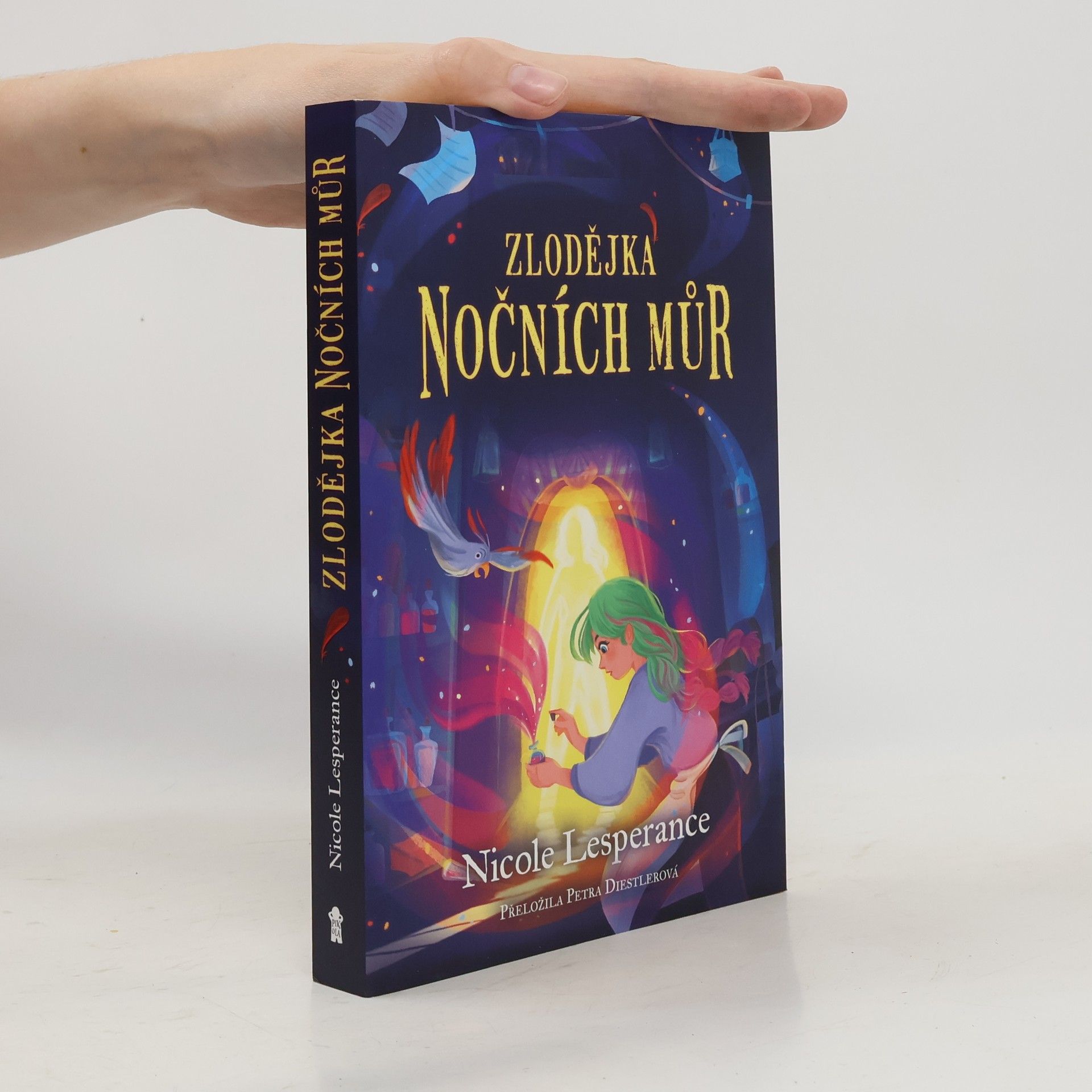 Petra Diestlerová Zlodějka nočních můr