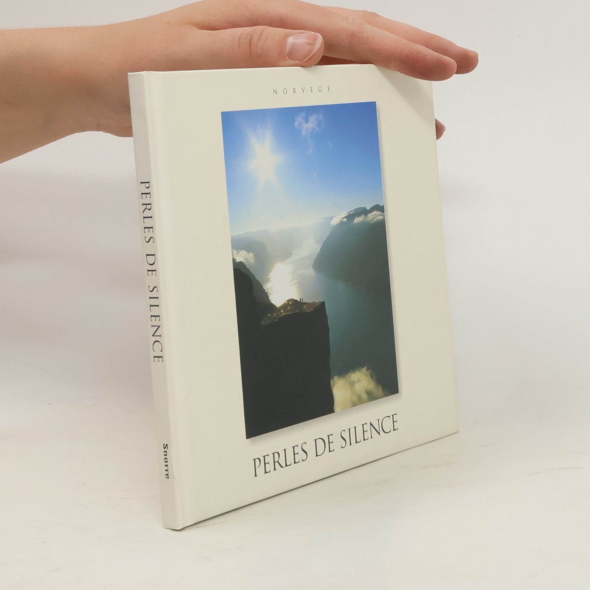 Aude Boudard Perles de silence