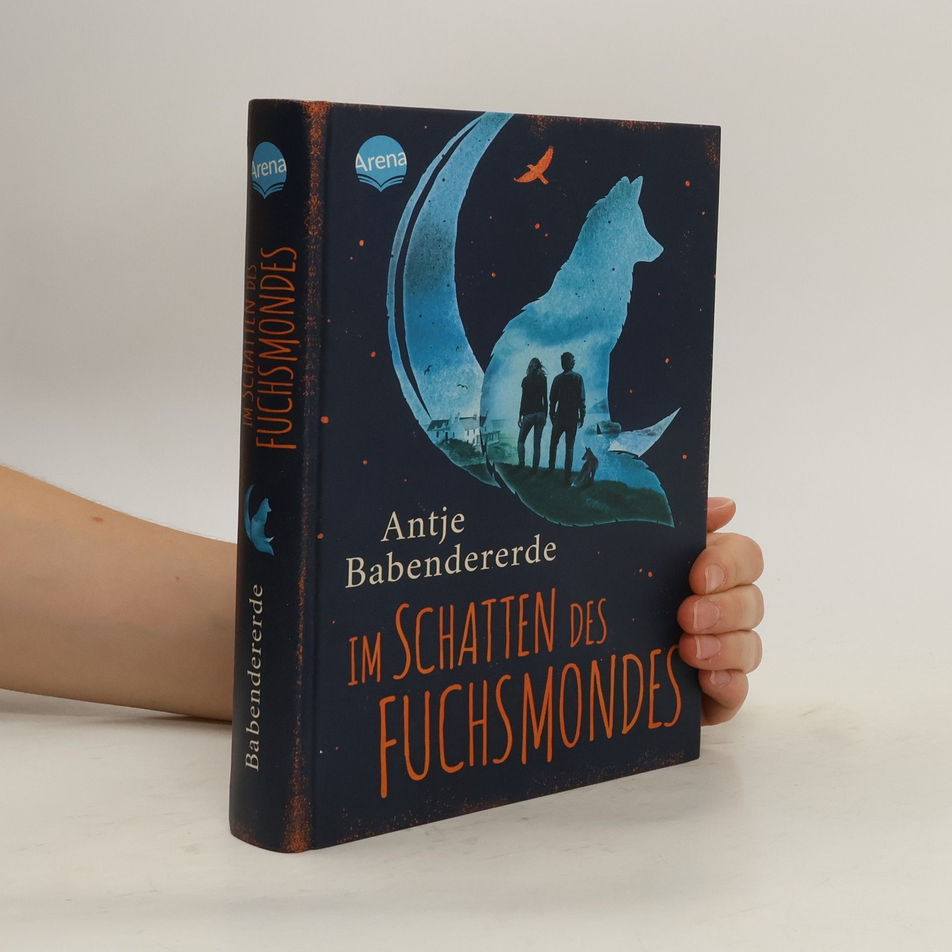Antje Babendererde Im Schatten des Fuchsmondes