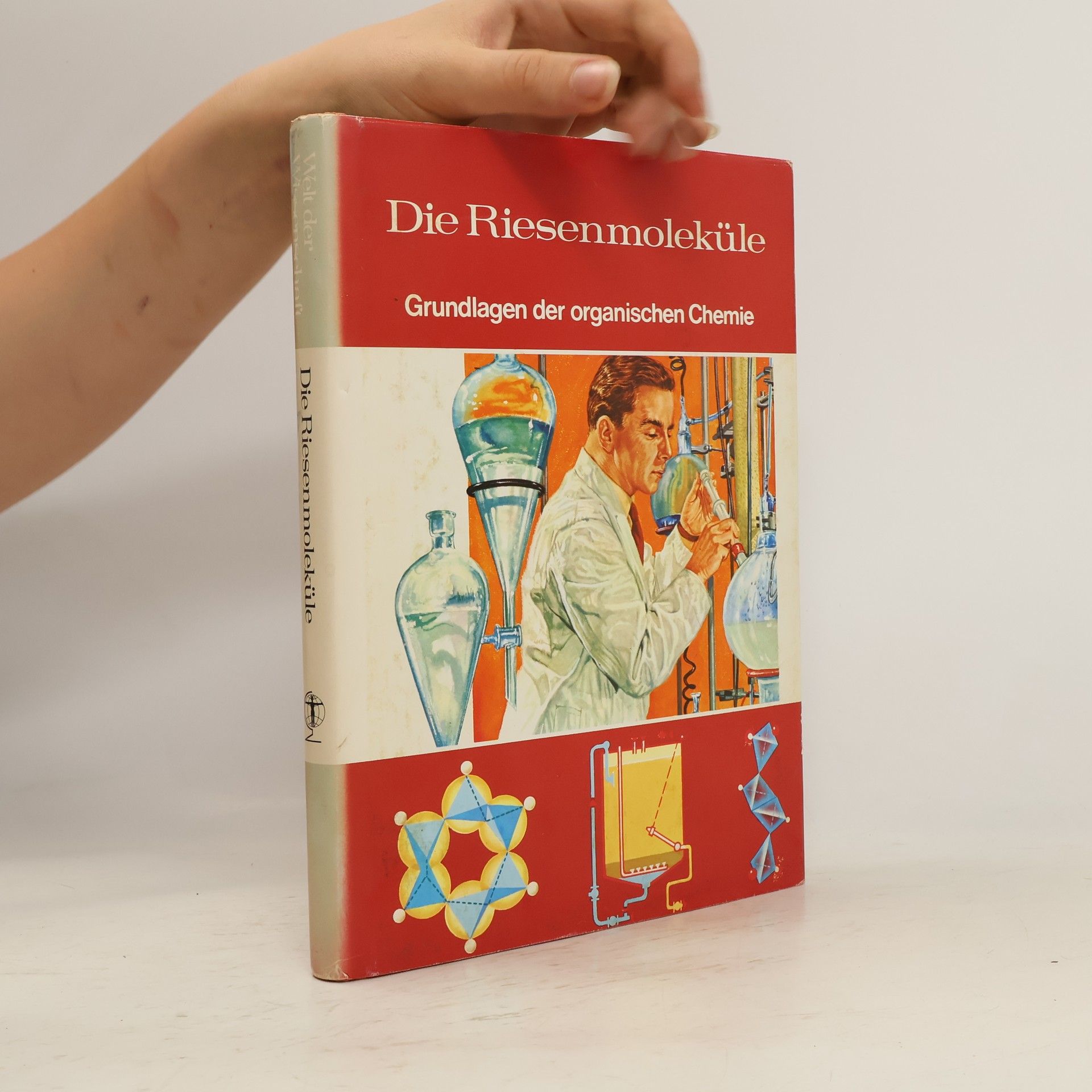 Collectif d'auteurs Die Riesenmoleküle. Grundlagen der organischen Chemie