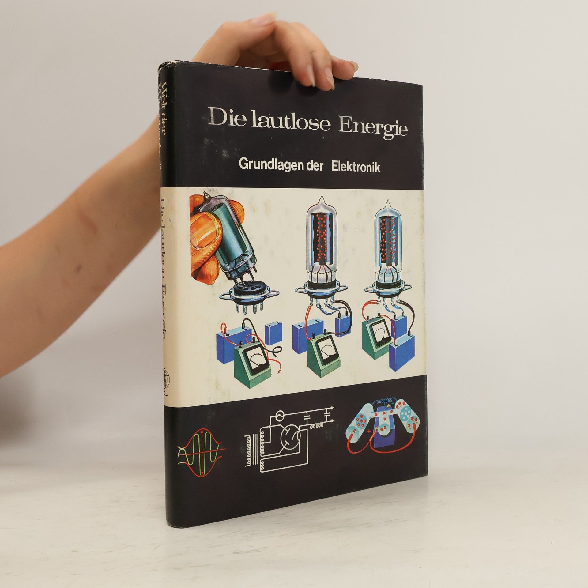 Joan Pick Die lautlose Energie
