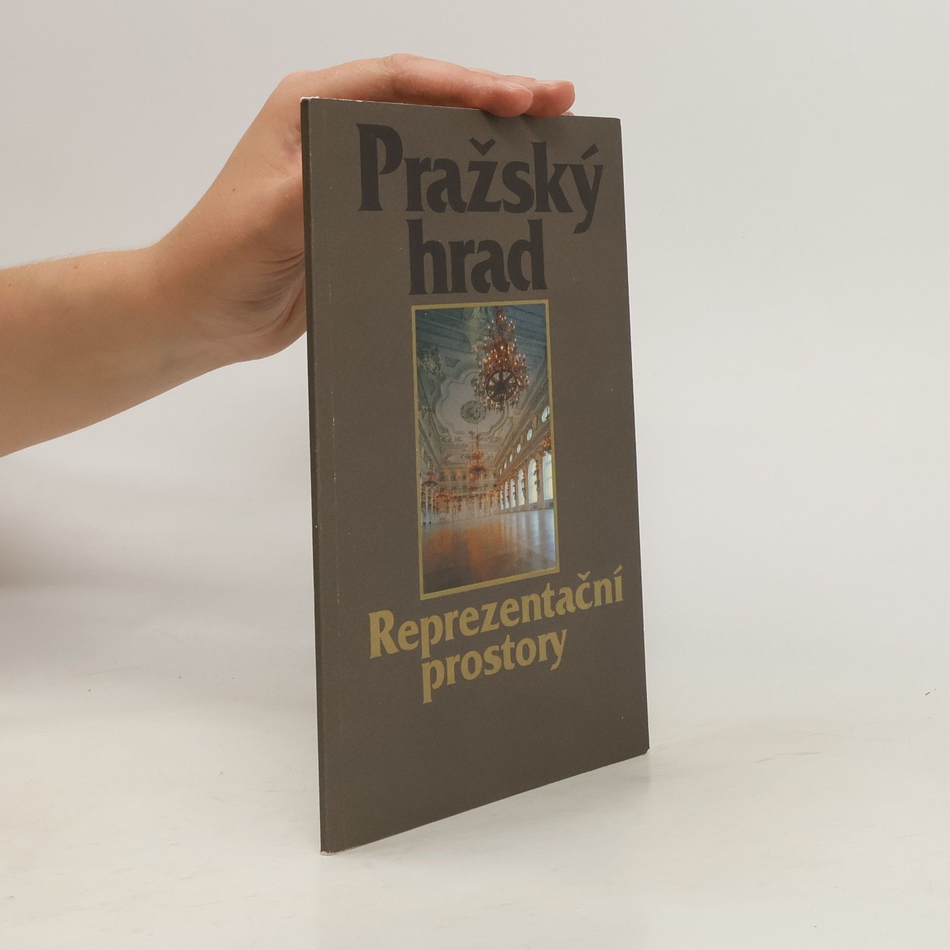 František Kadlec Pražský hrad: Reprezentační prostory