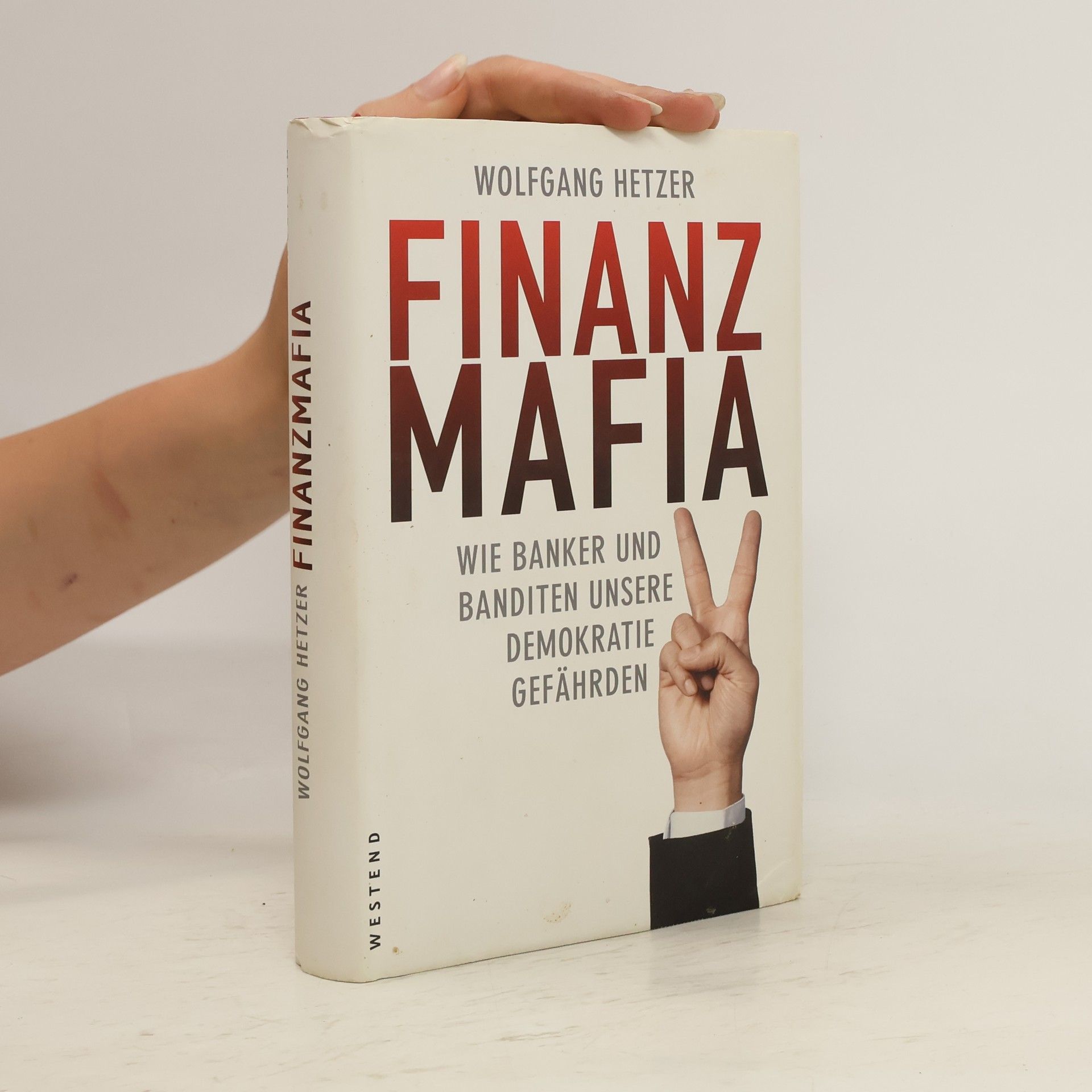 Wolfgang Hetzer Finanzmafia
