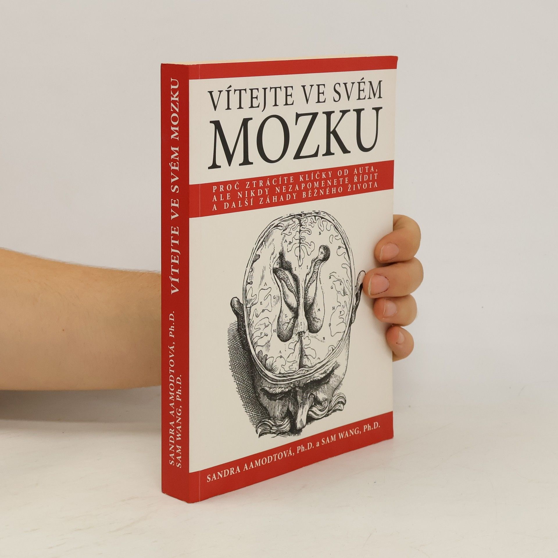 Vítejte ve svém mozku