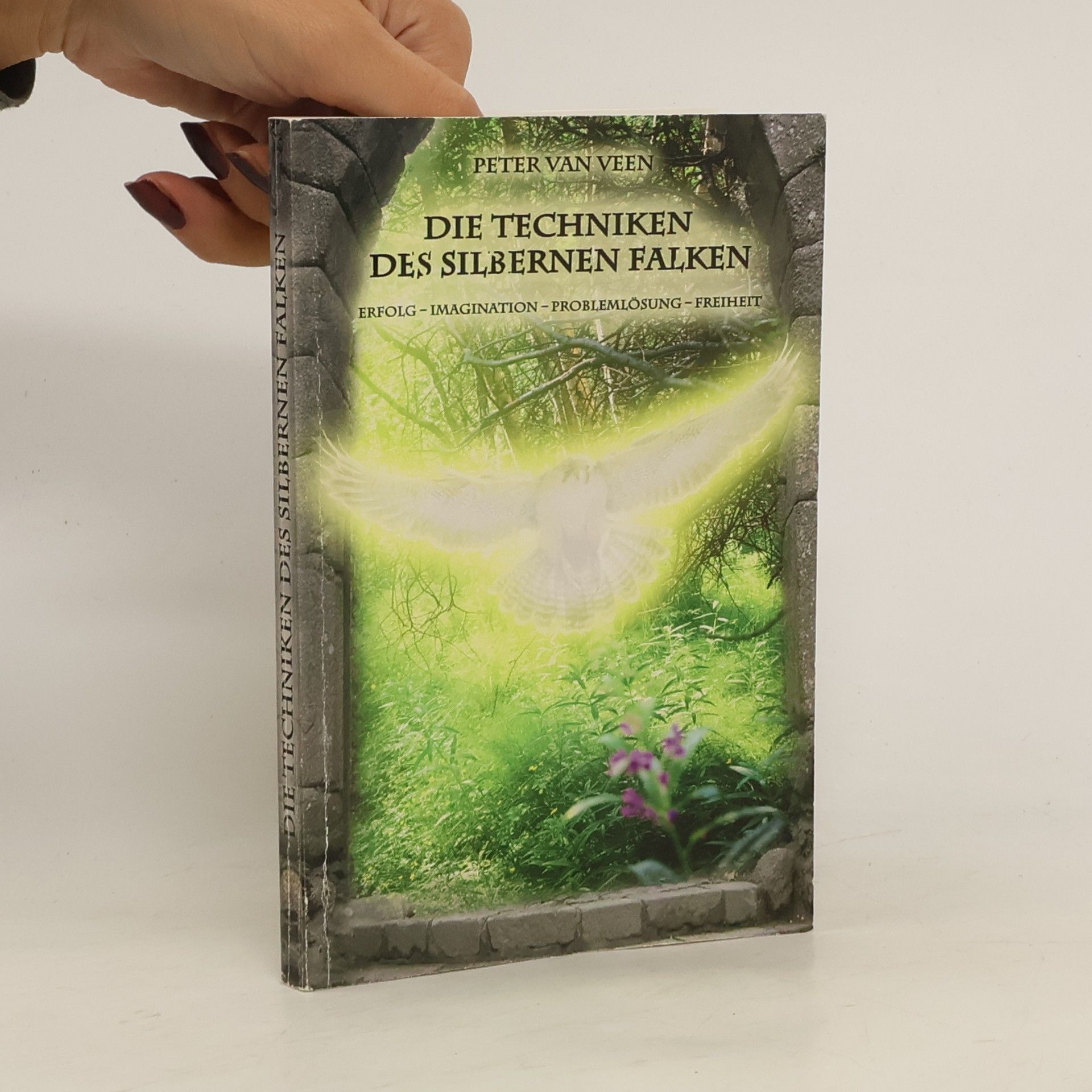 Die Techniken des silbernen Falken