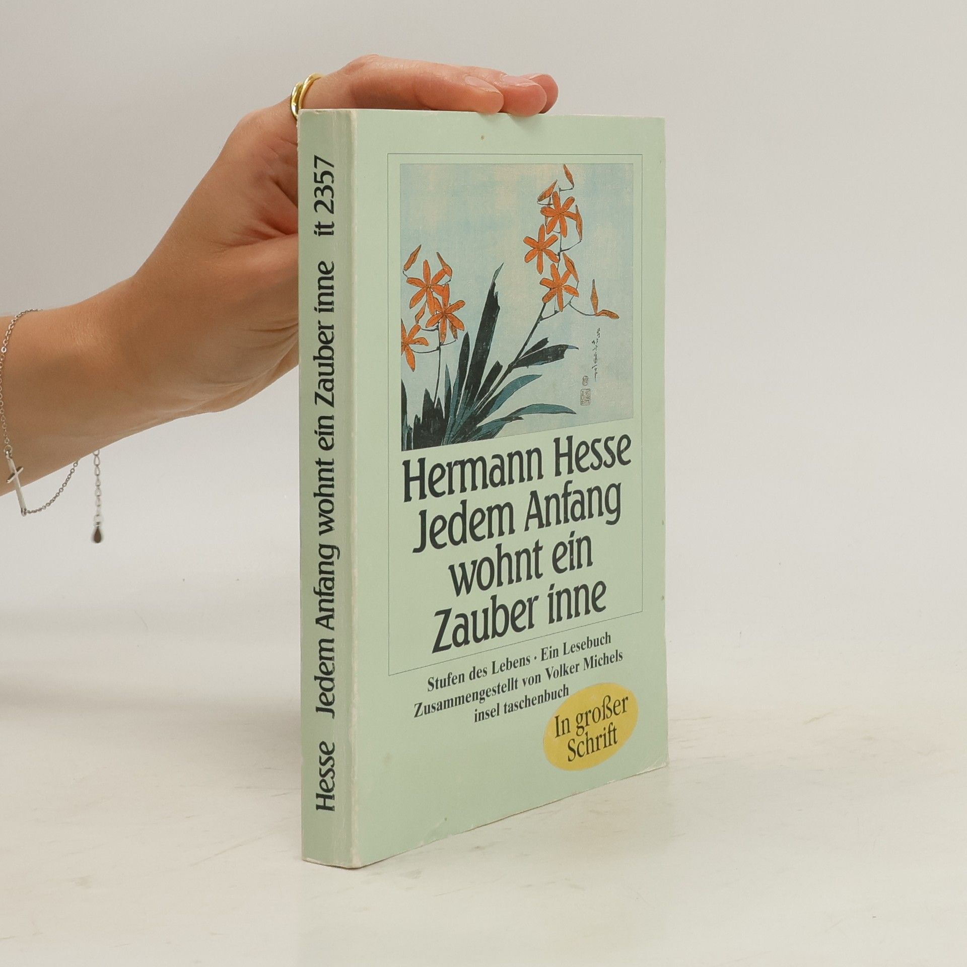 Hermann Hesse Jedem Anfang wohnt ein Zauber inne
