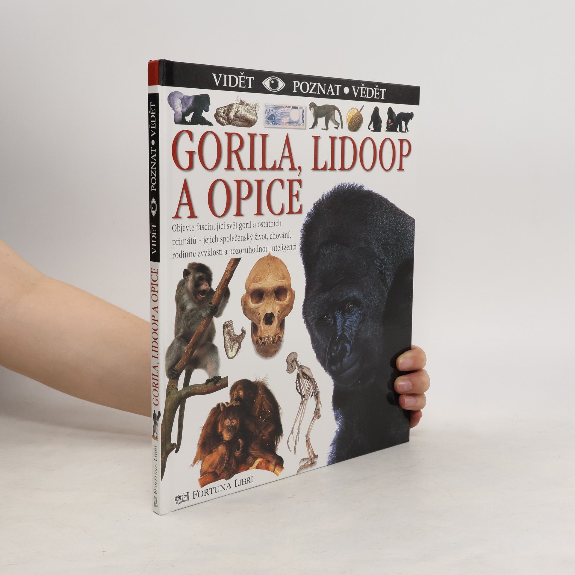 Geoff Brightling Gorila, lidoop a opice