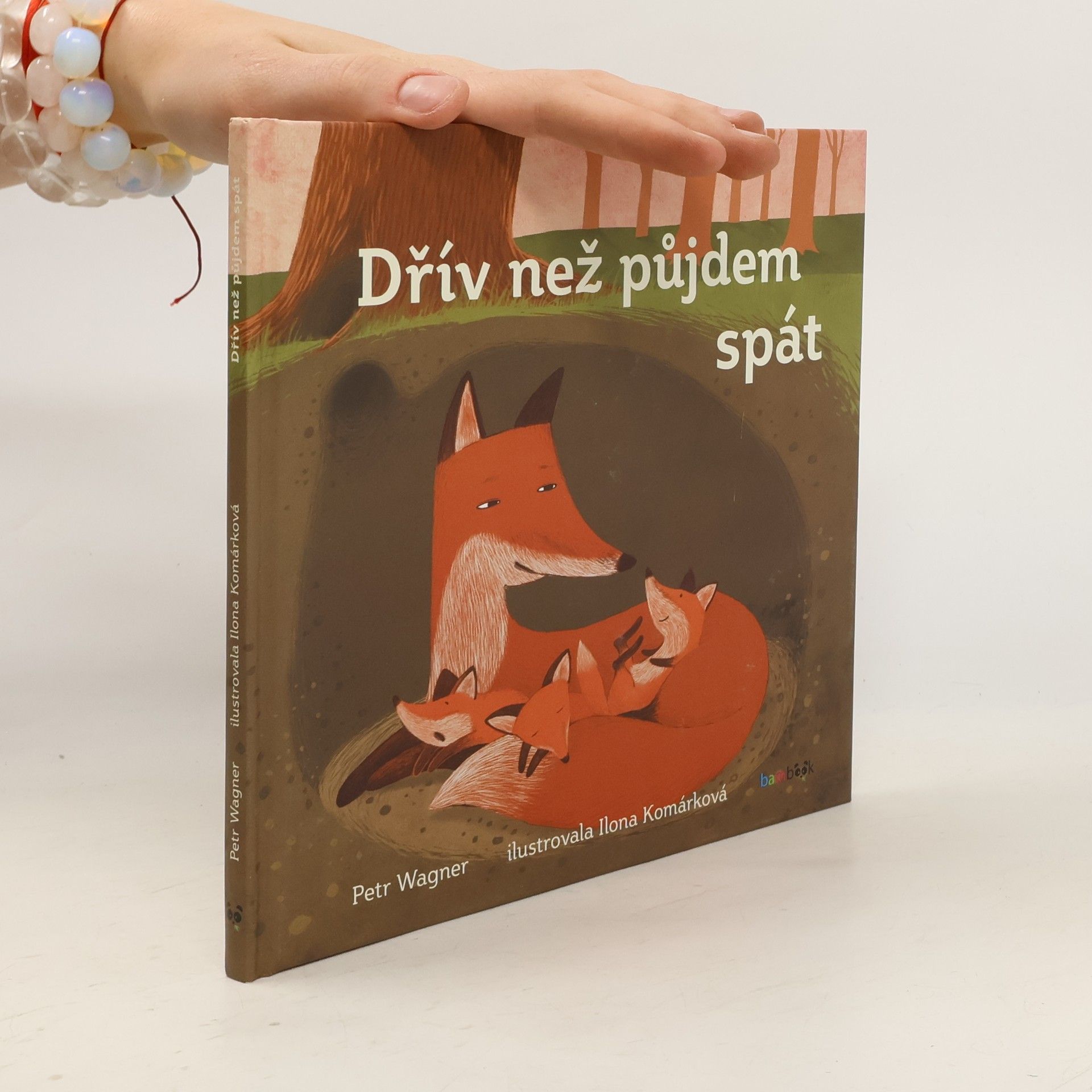 Petr Wagner Dřív než půjdem spát