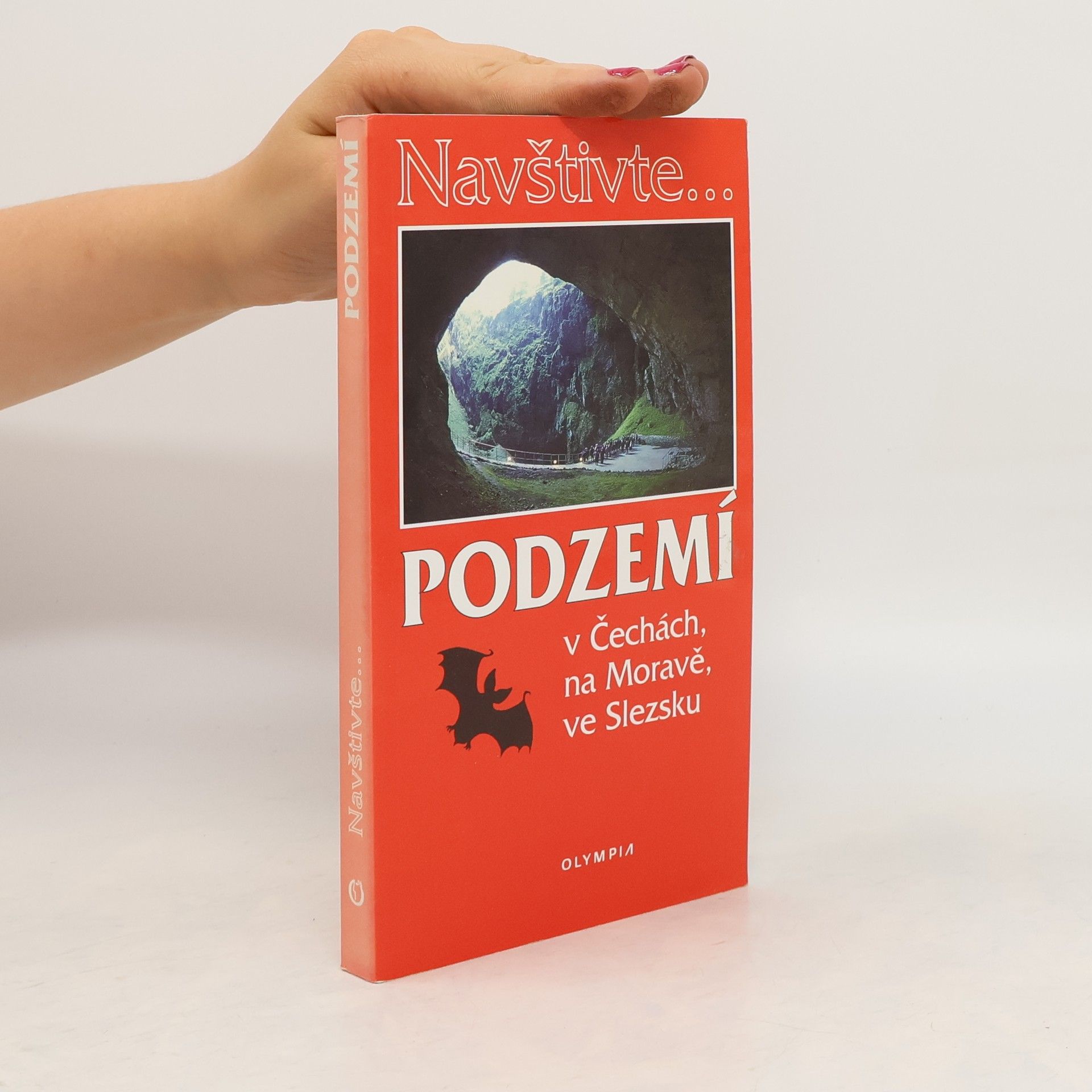 Jaroslav Hromas Podzemí v Čechách, na Moravě, ve Slezsku