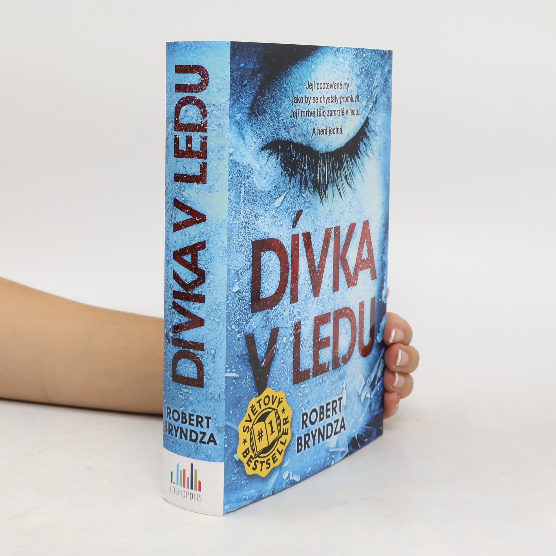 Robert Bryndza Dívka v ledu