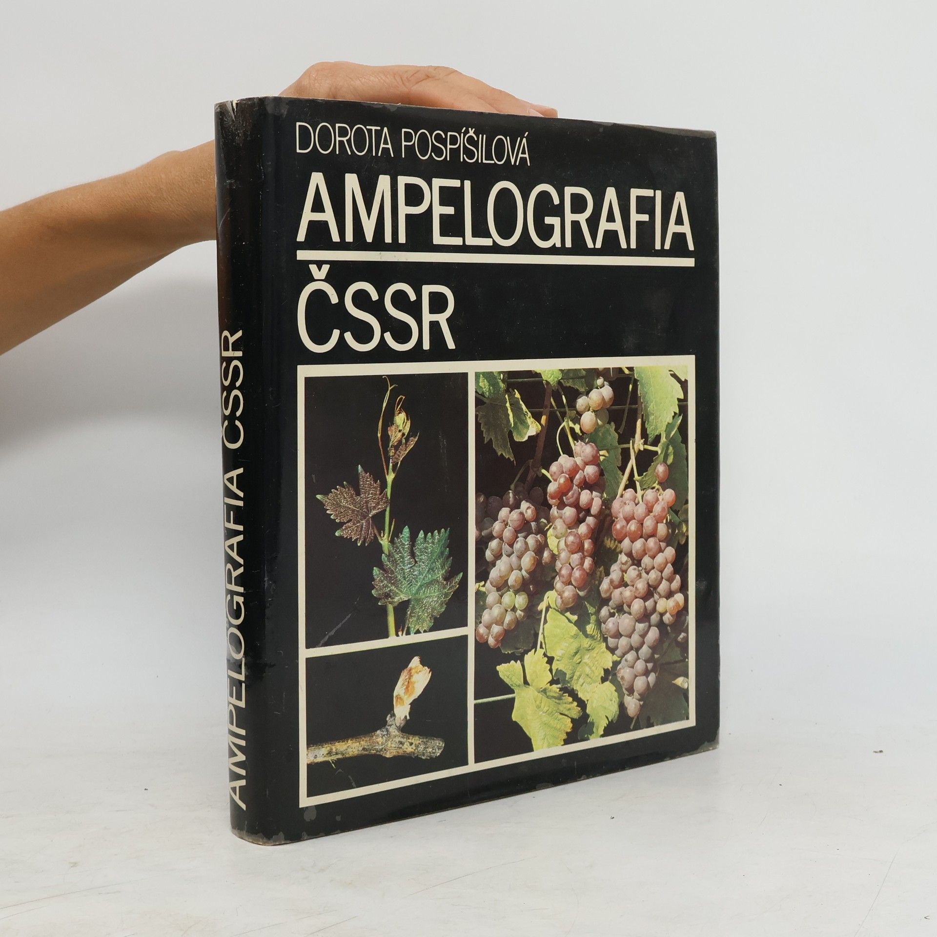 Dorota Pospíšilová Ampelografia ČSSR