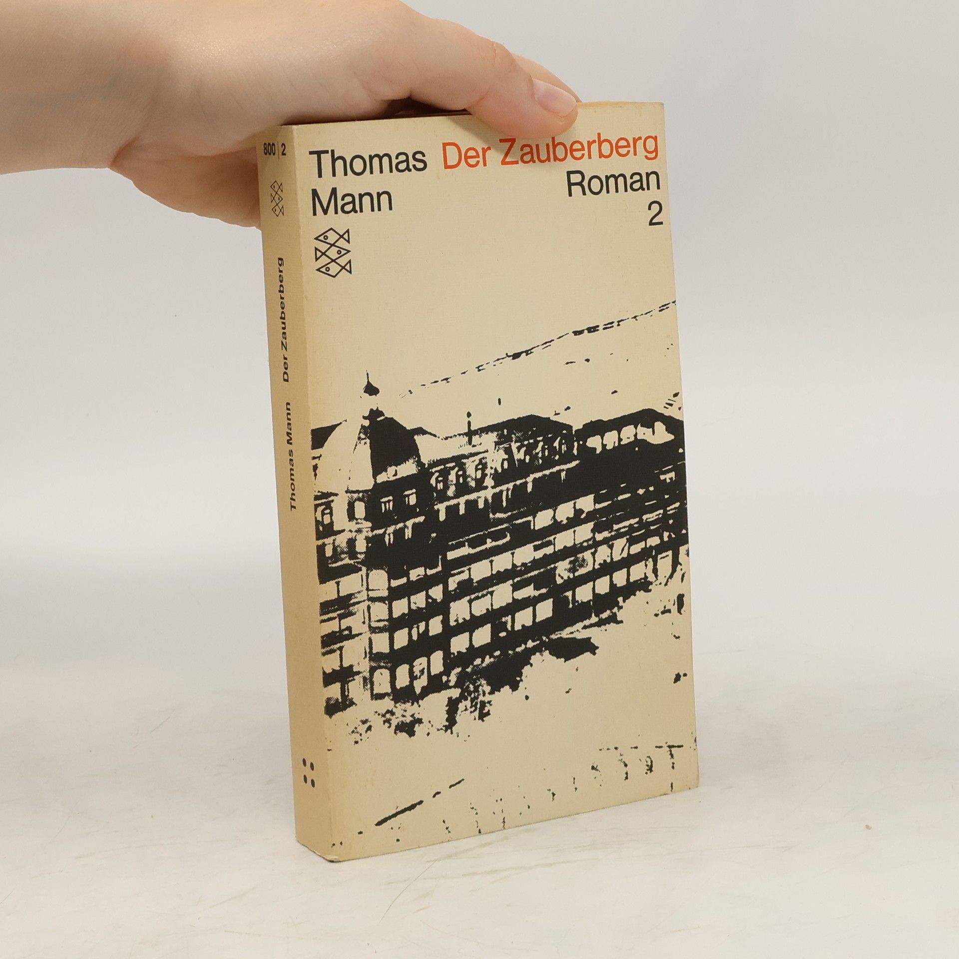 Thomas Mann Der Zauberberg. 2