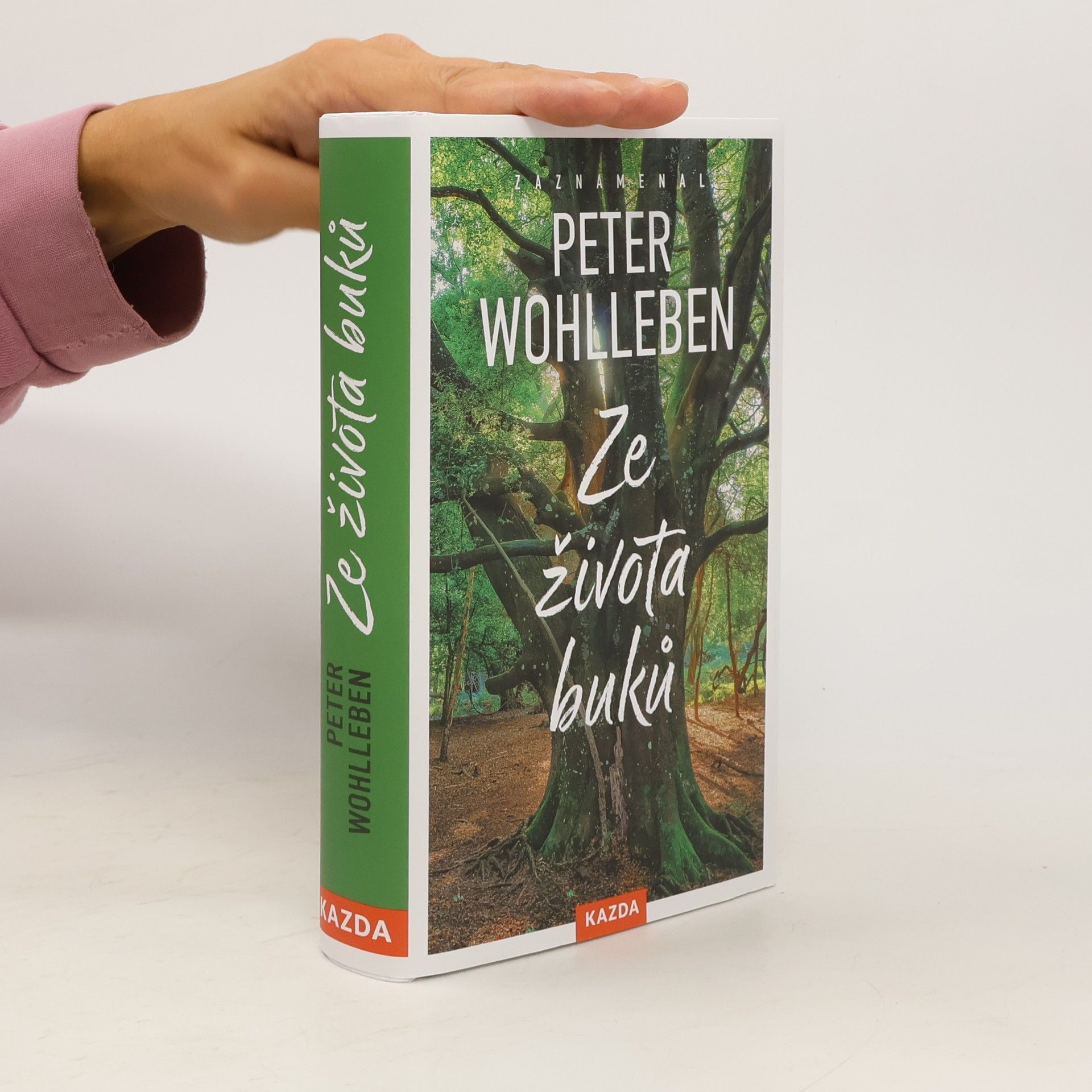 Peter Wohlleben Ze života buků