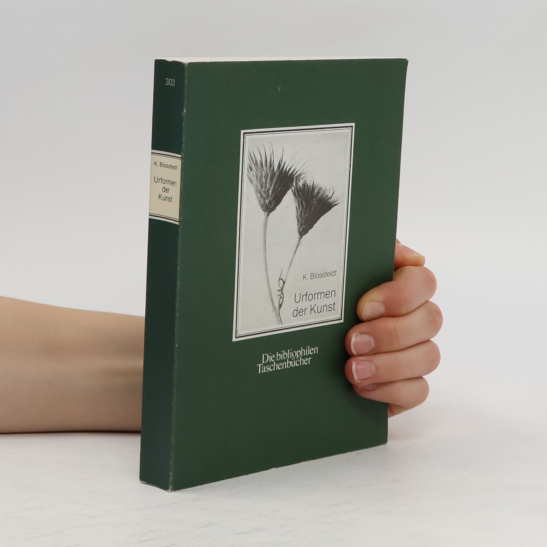 Karl Blossfeldt Urformen der Kunst