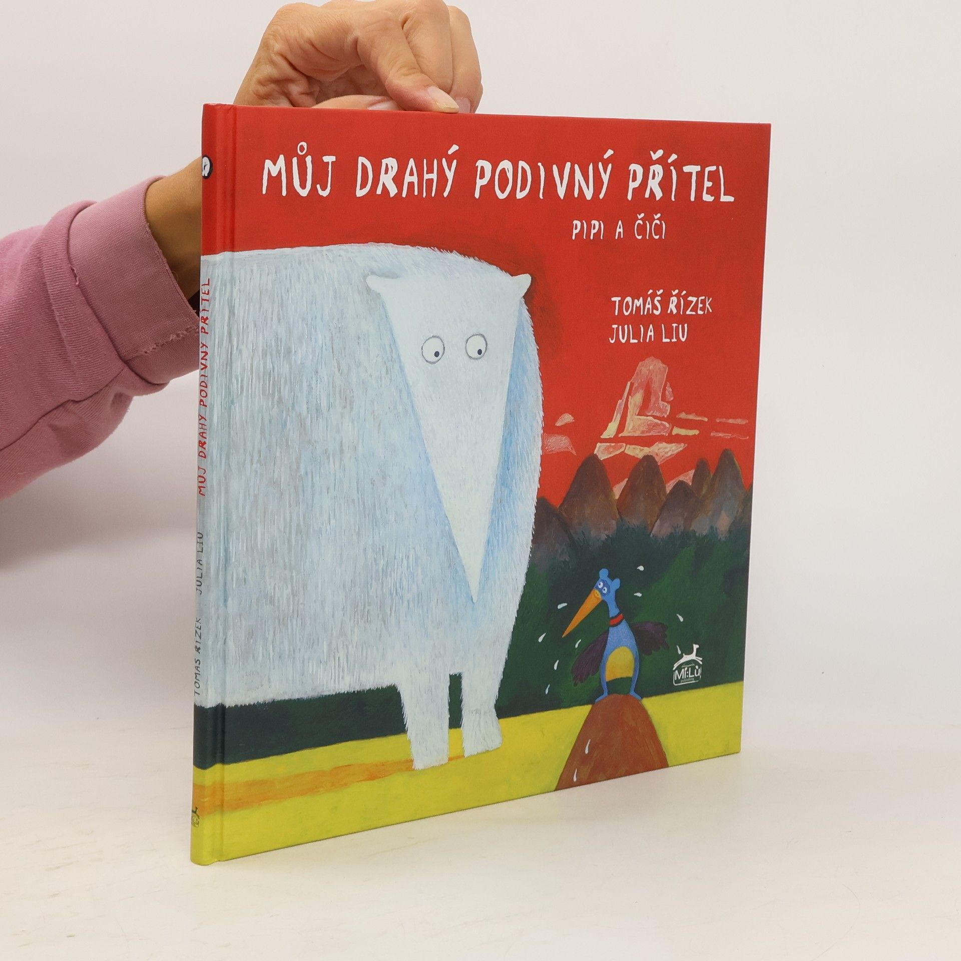 Liu Julia Můj drahý podivný přítel