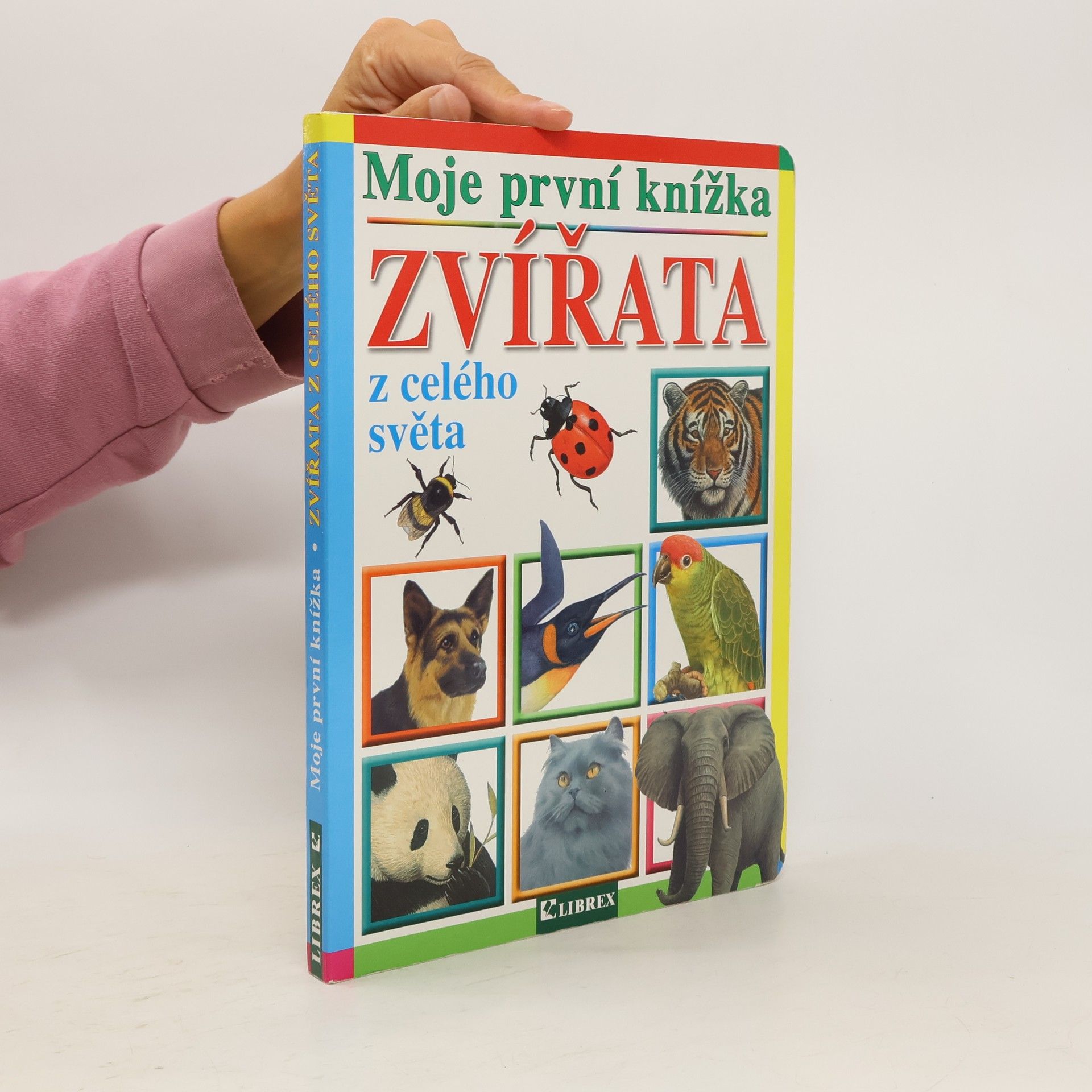 kolektiv Zvířata z celého světa