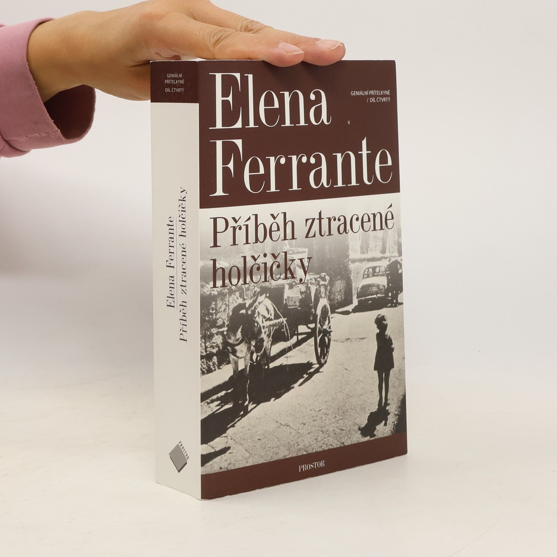 Elena Ferrante Příběh ztracené holčičky. Geniální přítelkyně. 4. díl
