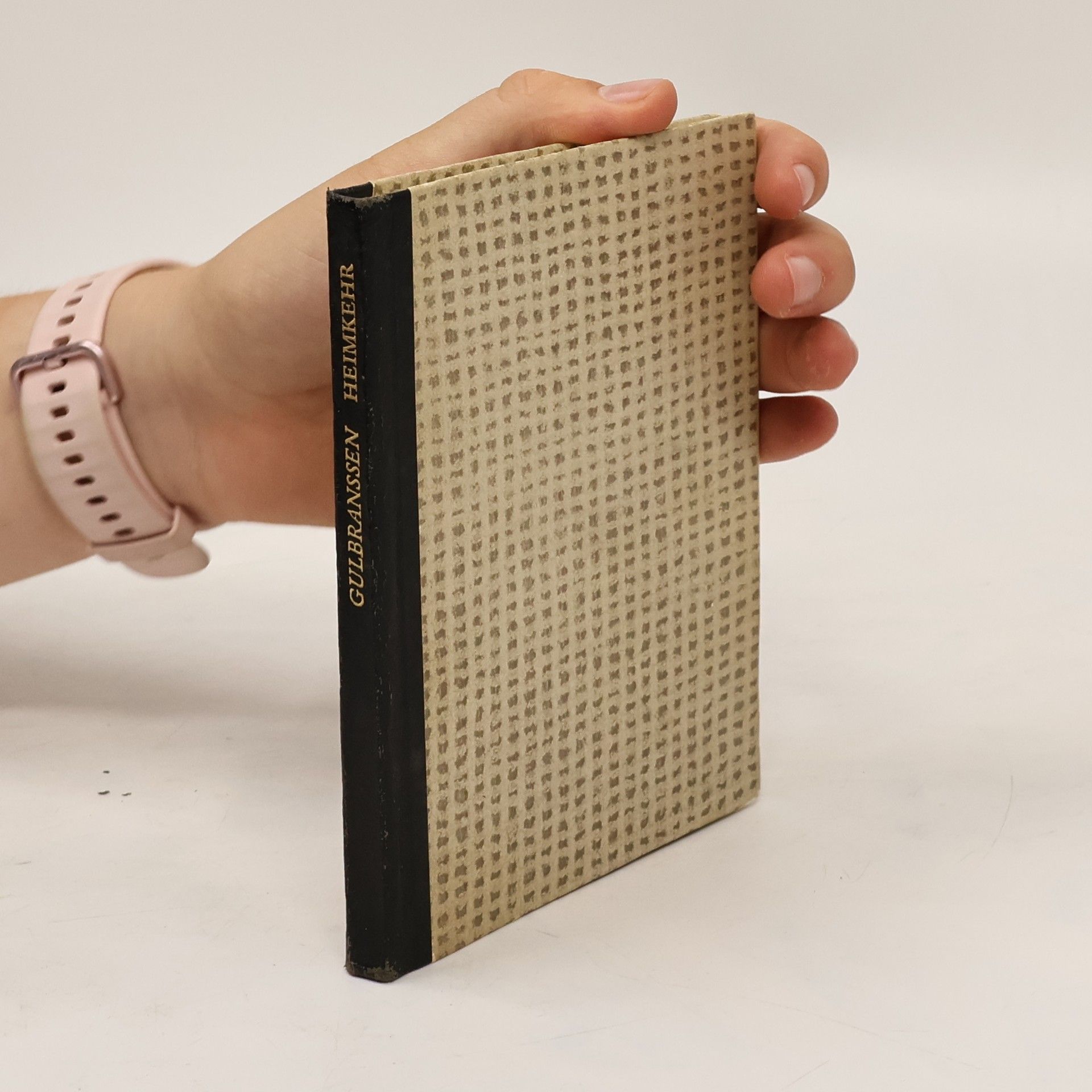 Heimkehr nach Björndal