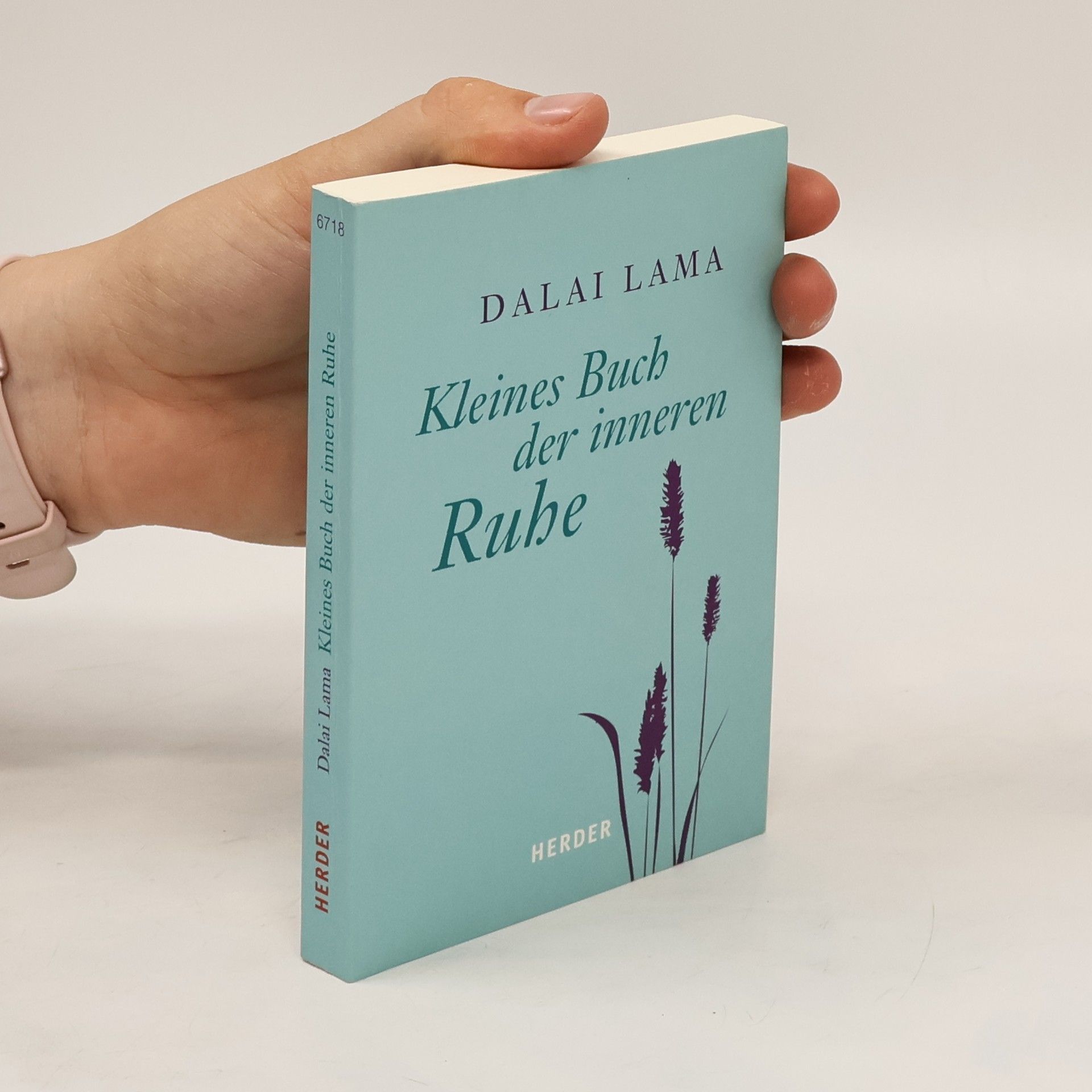 Dalajlama Kleines Buch der inneren Ruhe