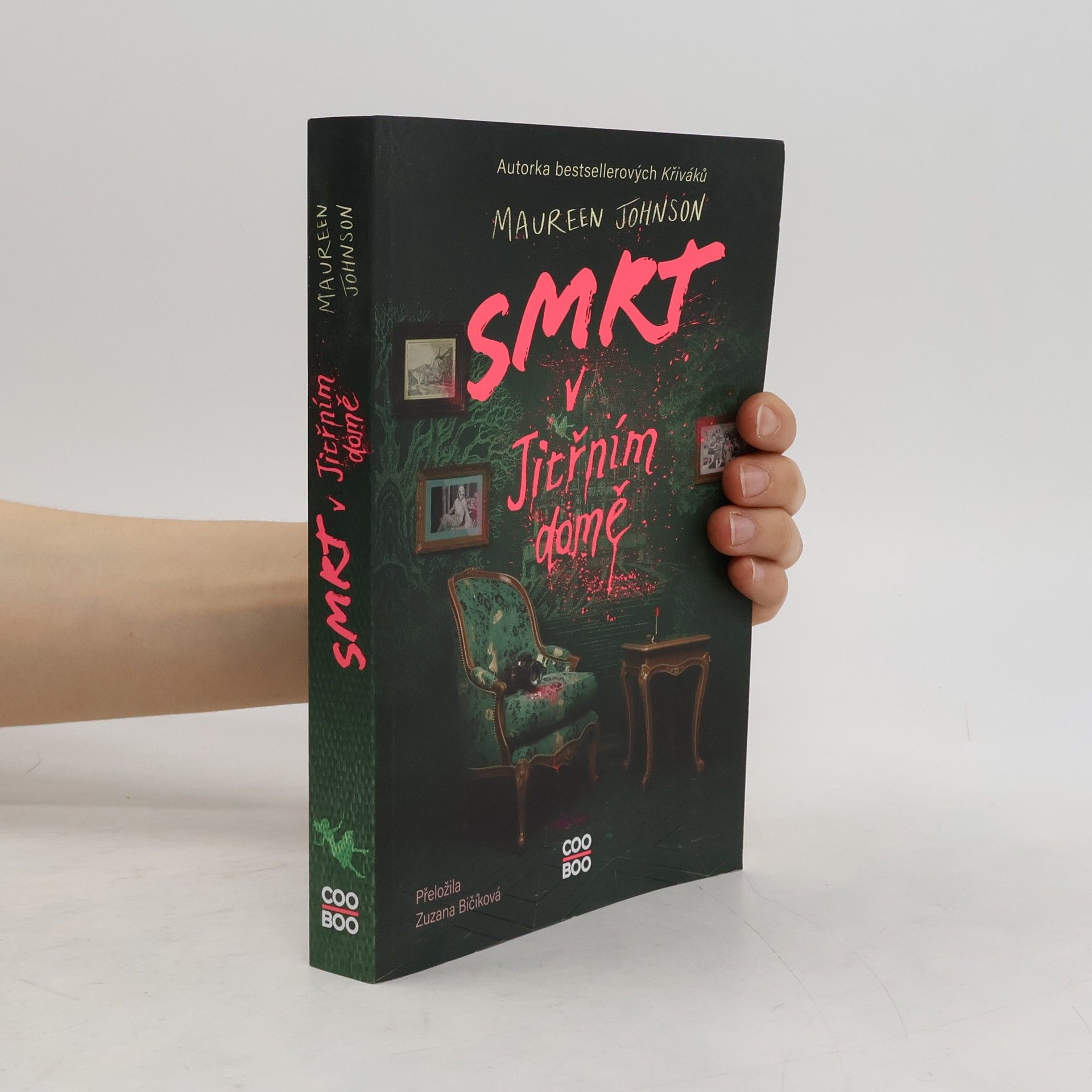 Maureen Johnson Smrt v Jitřním domě