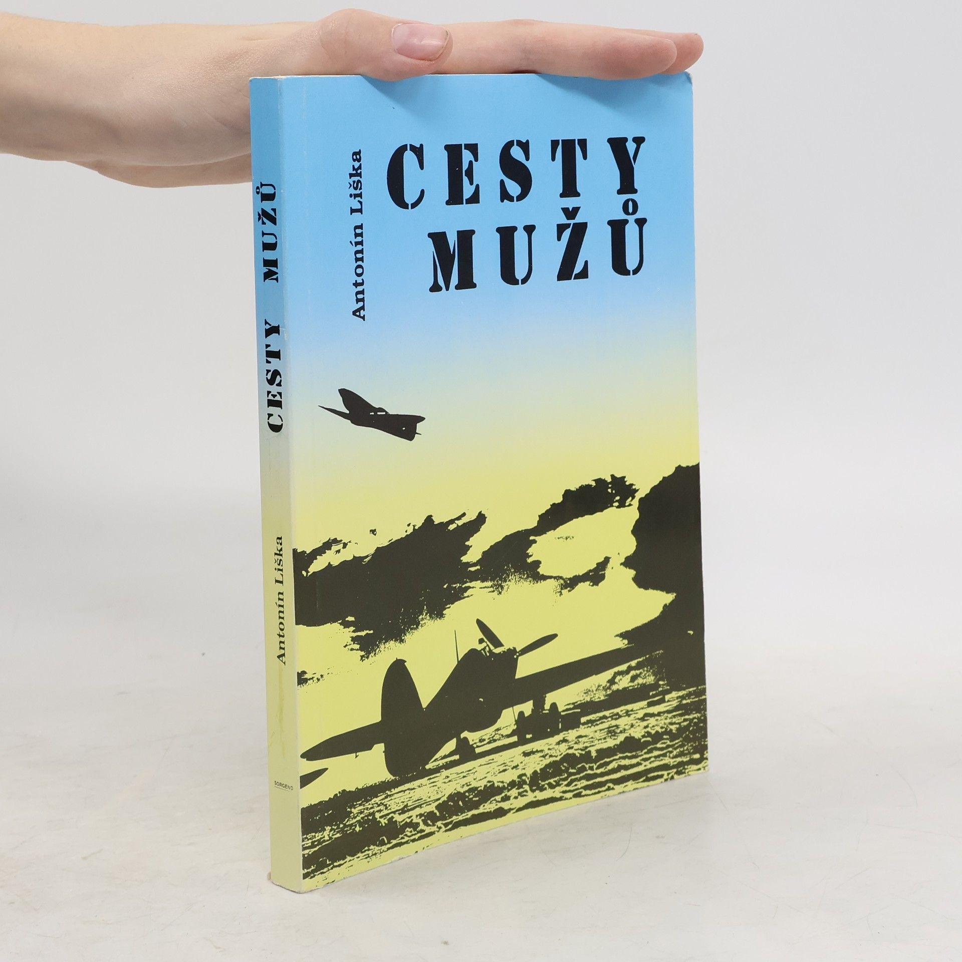 Antonín Liška Cesty mužů