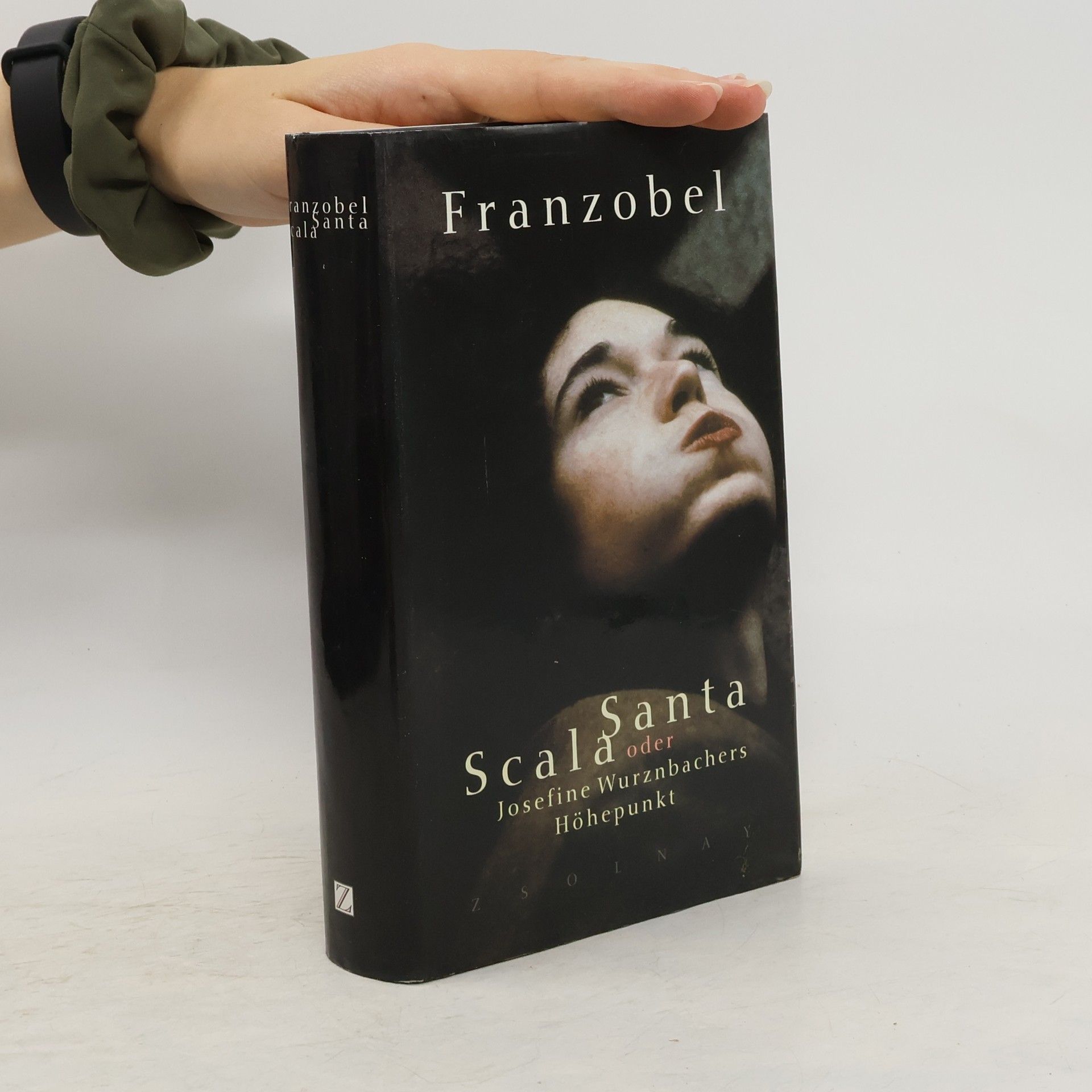 Scala Santa, oder, Josefine Wurznbachers Höhepunkt