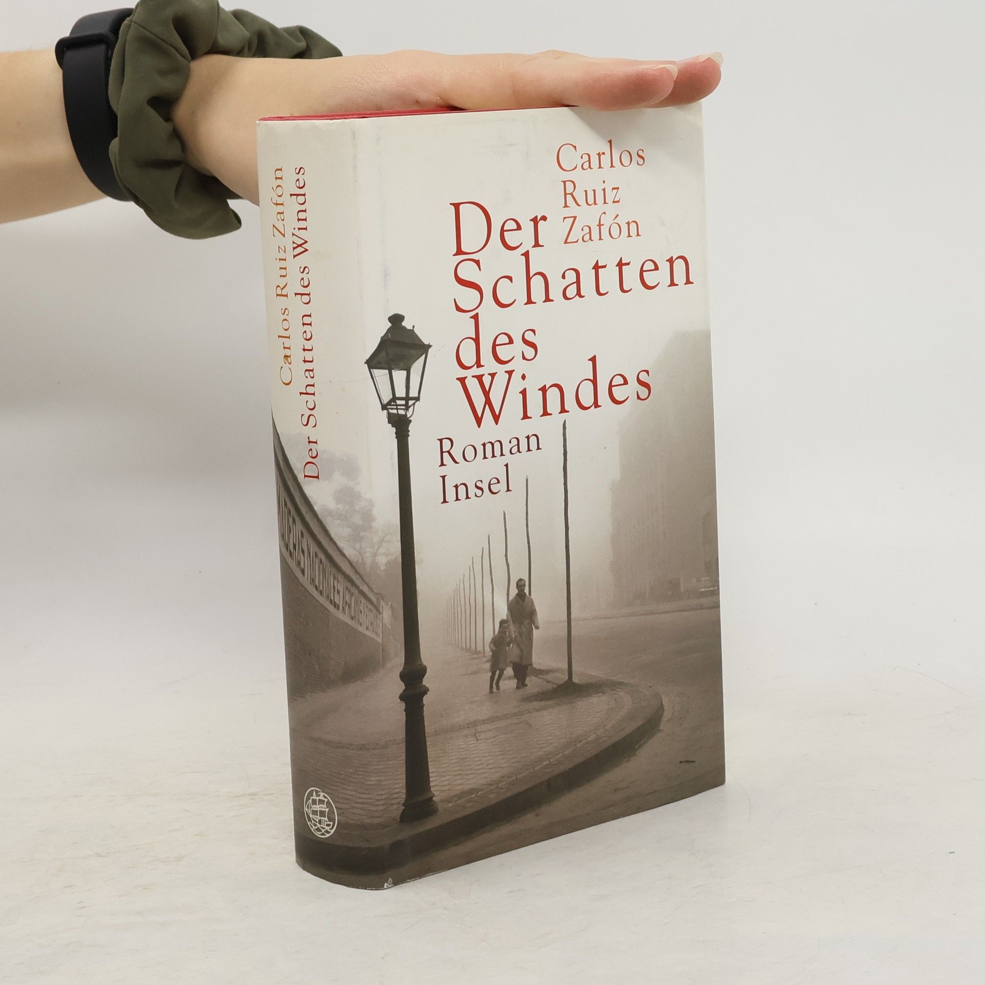 Carlos Ruiz Zafón Der Schatten des Windes