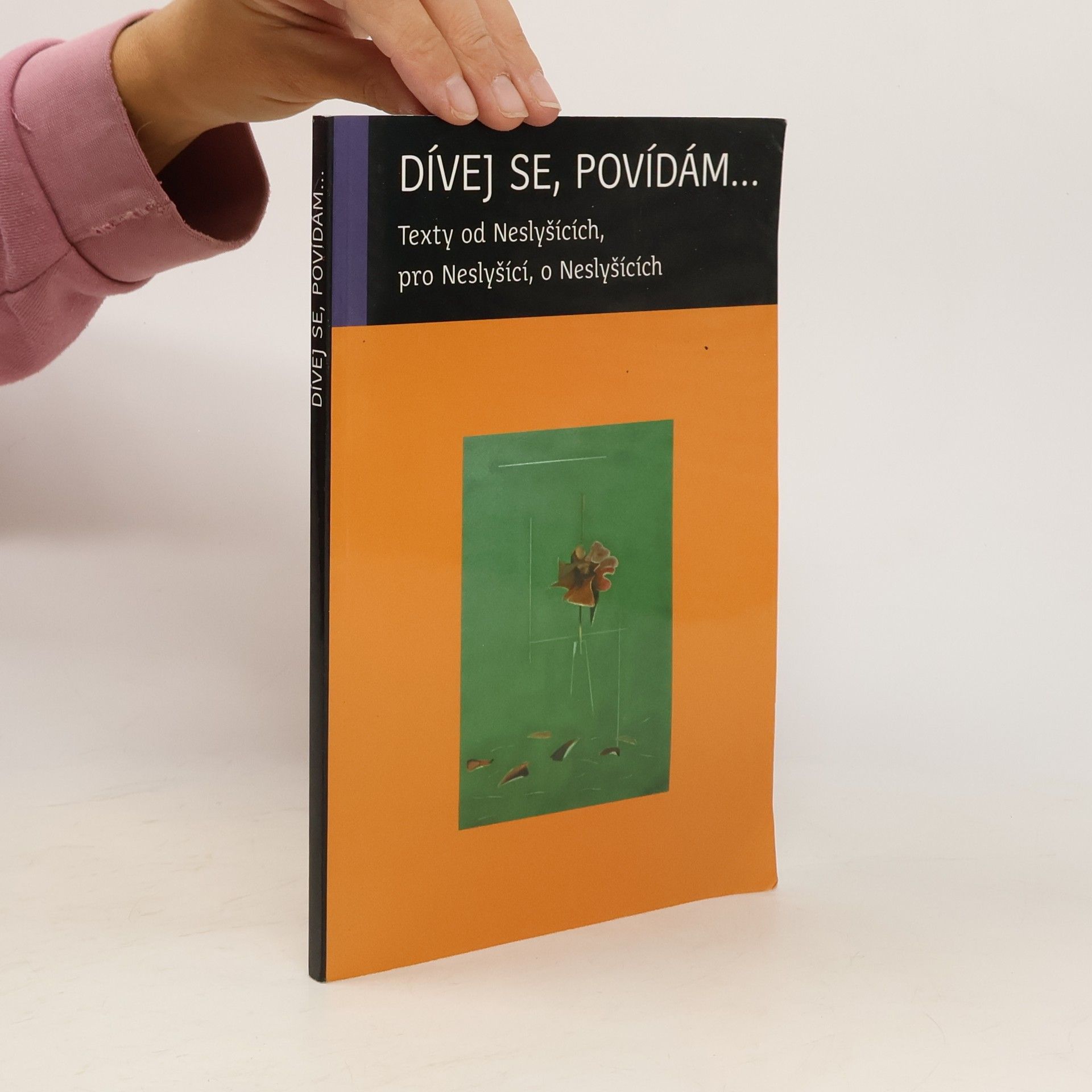 Lucie Púlpánová Dívej se, povídám...