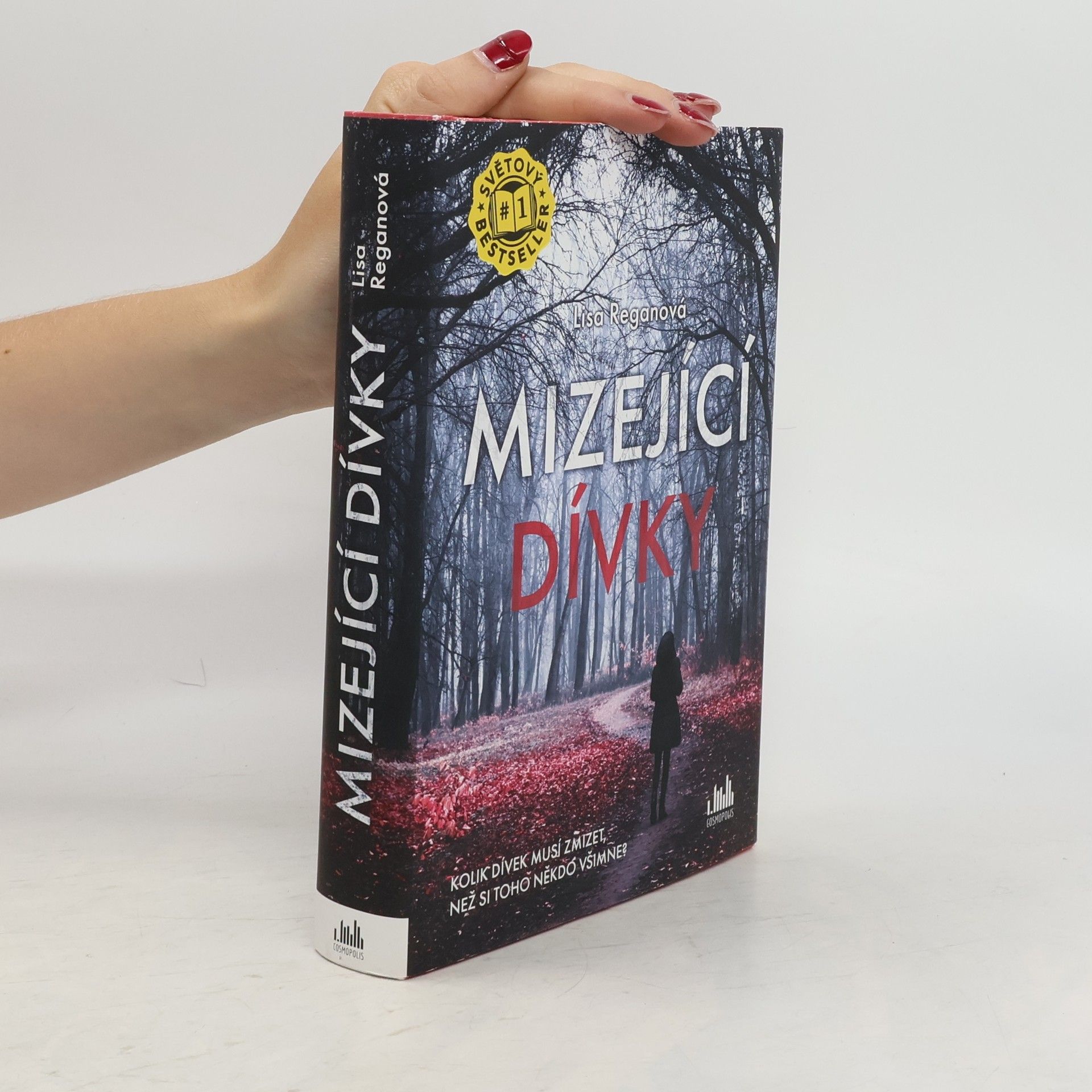 Lisa Regan Mizející dívky