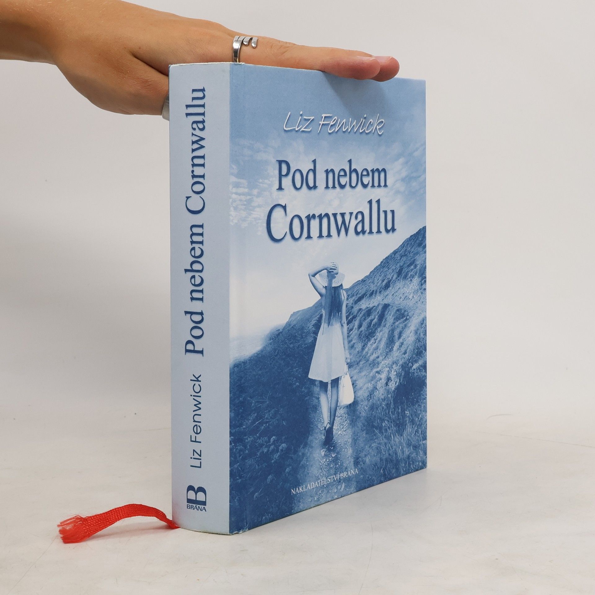 Liz Fenwick Pod nebem Cornwallu