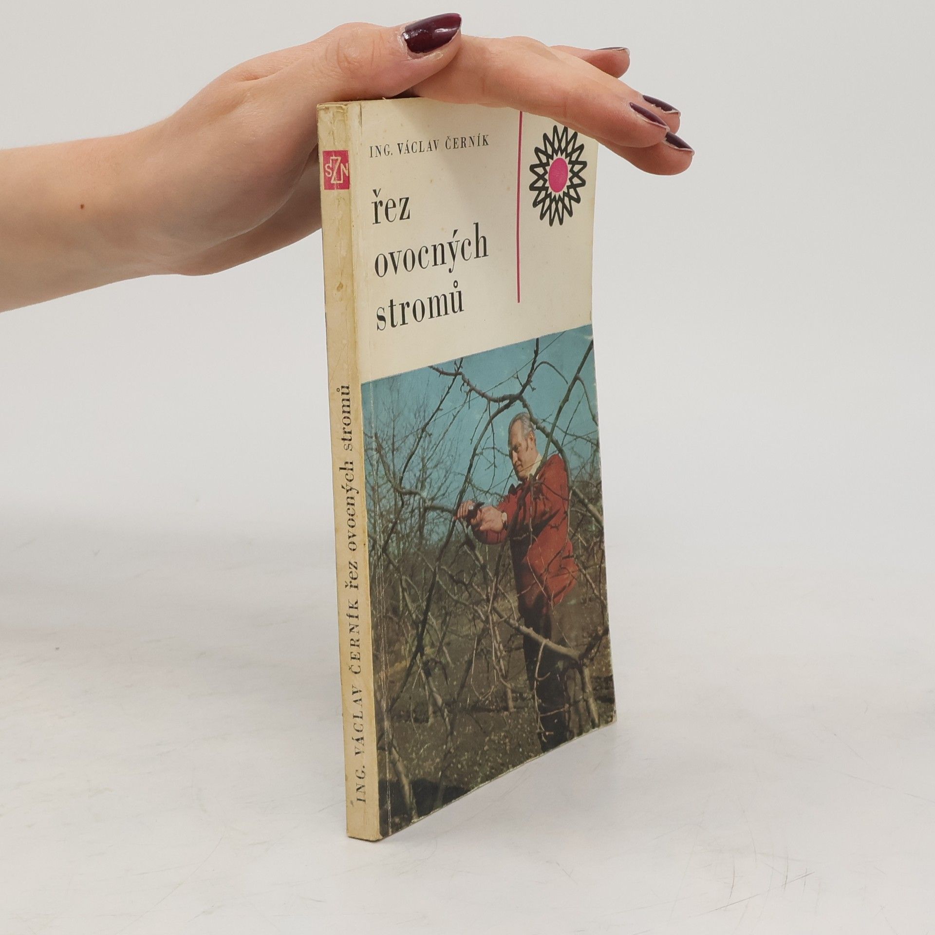 Řez ovocných stromů