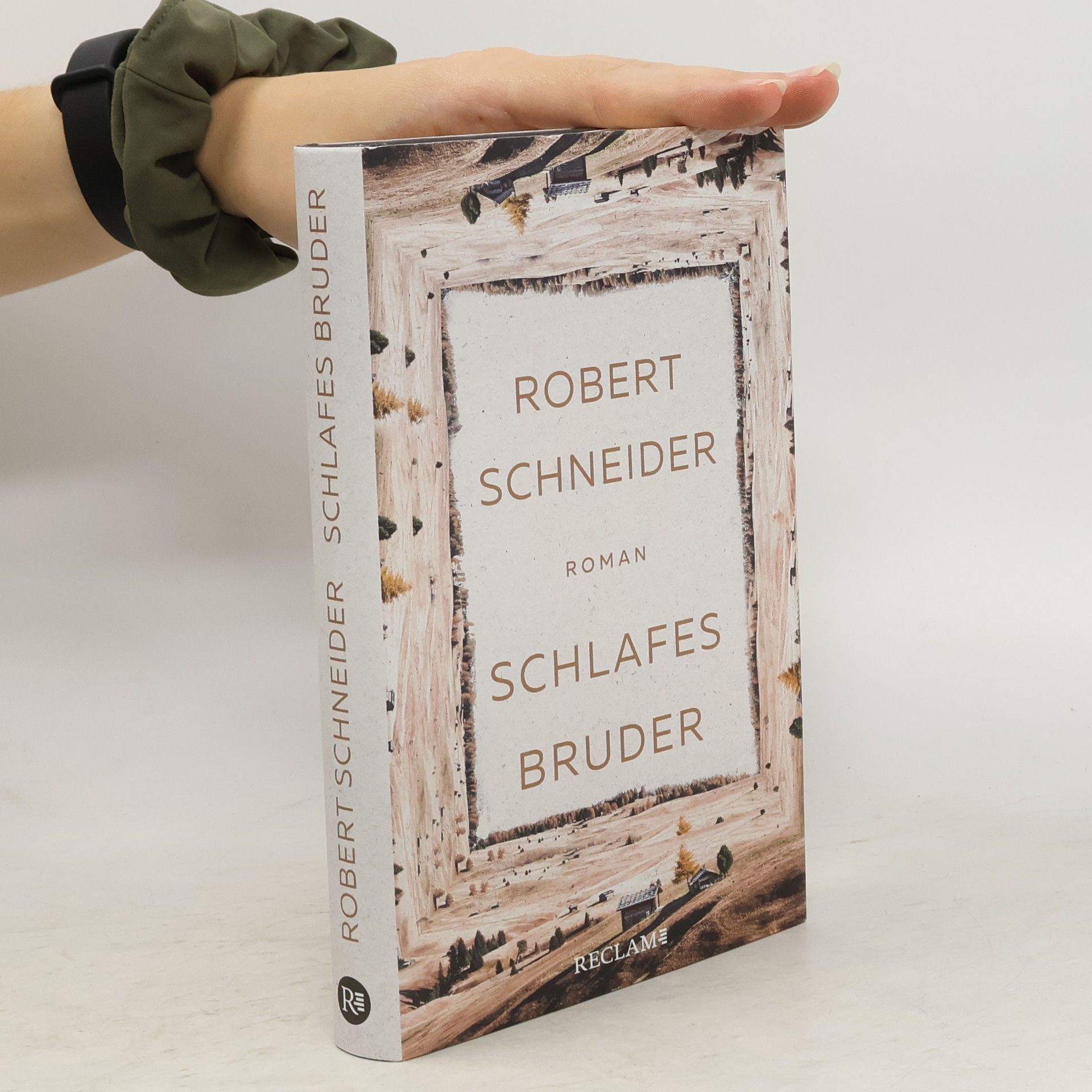 Robert Schneider Schlafes Bruder