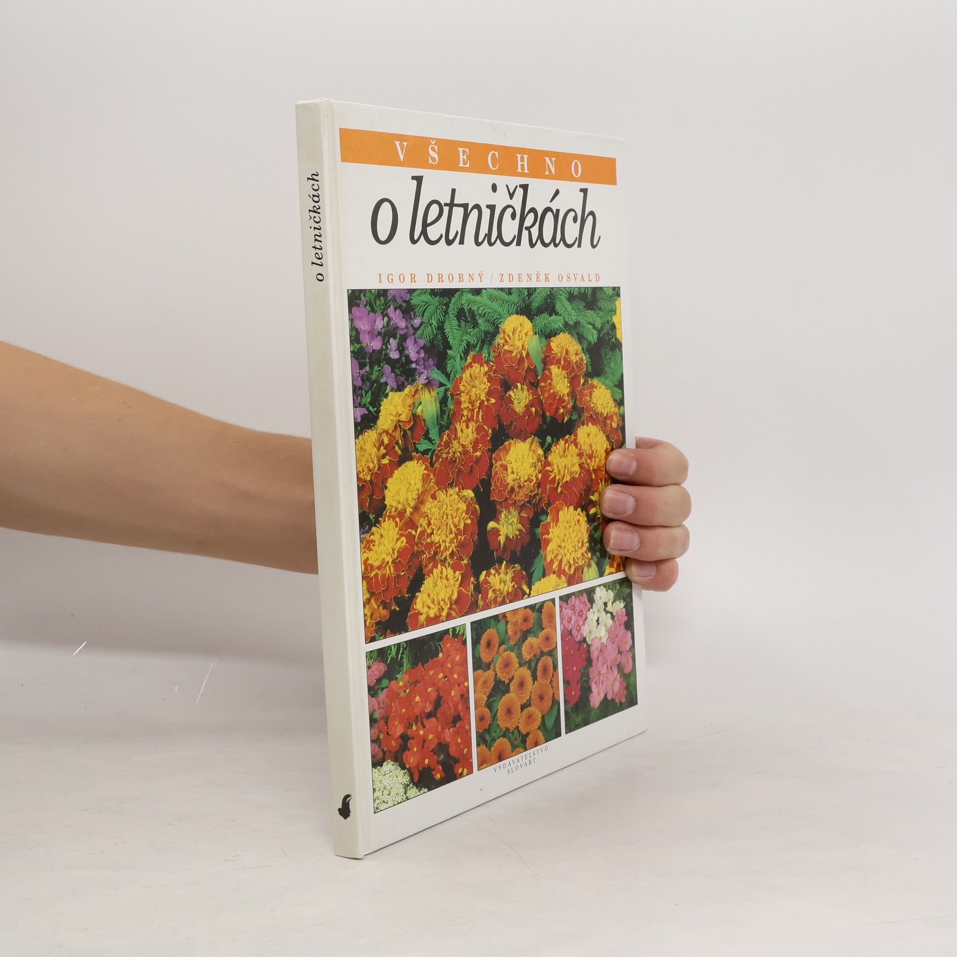 Všechno o letničkách