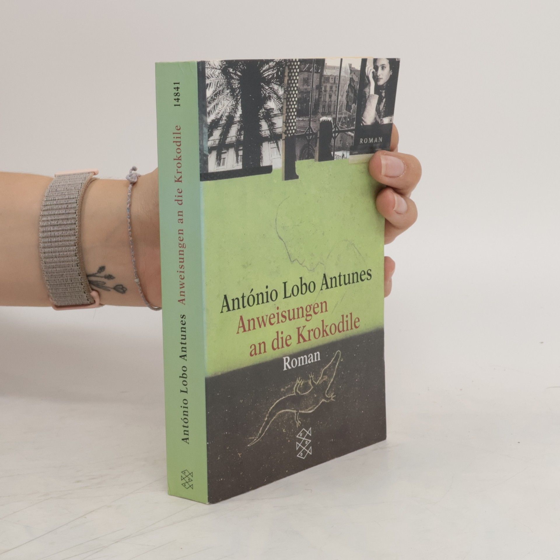 Antonio Lobo Antunes Anweisungen an die Krokodile