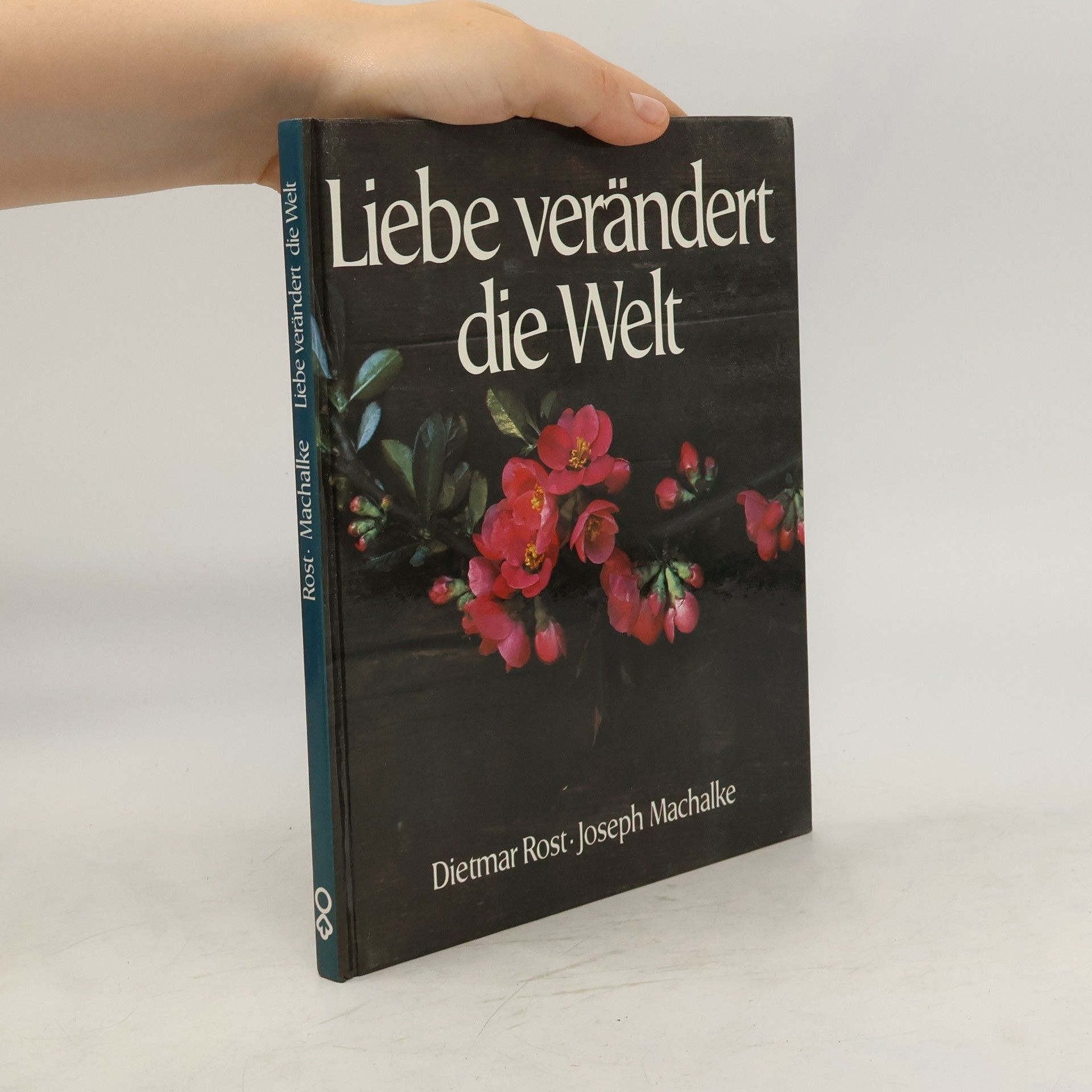 Dietmar Rost Liebe verändert die Welt