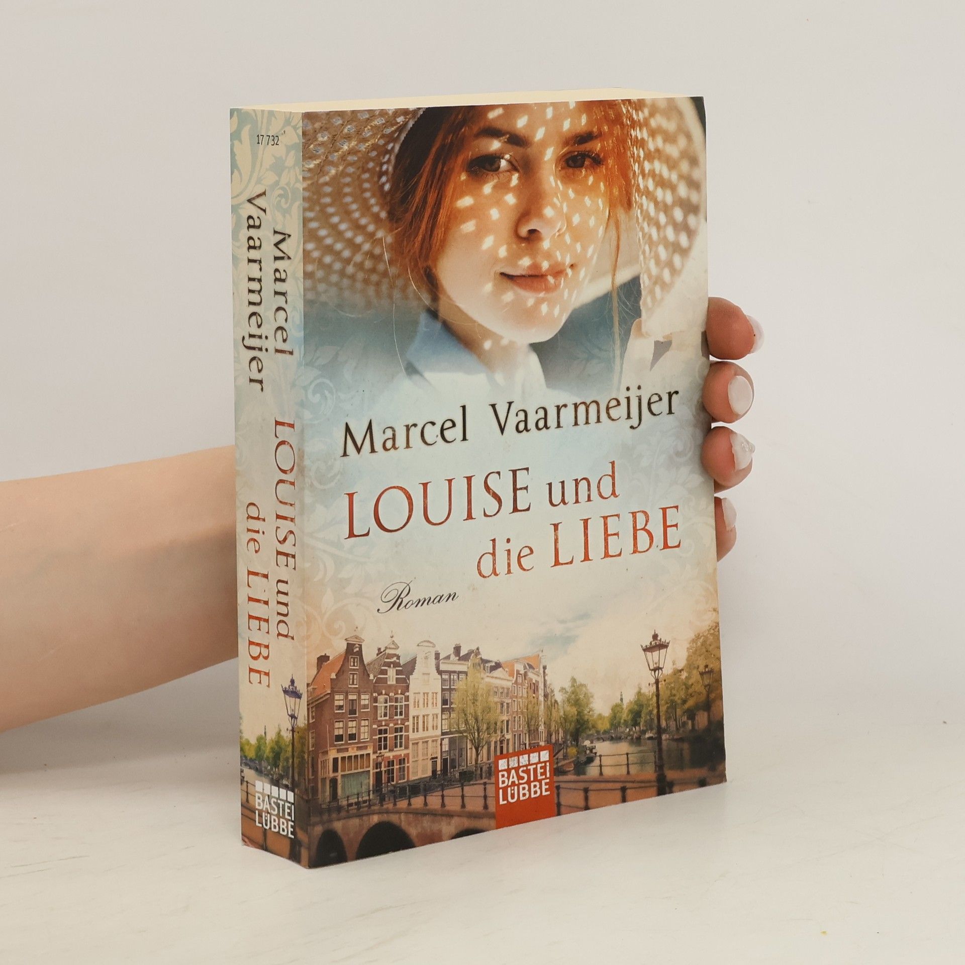 Marcel Vaarmeijer Louise und die Liebe