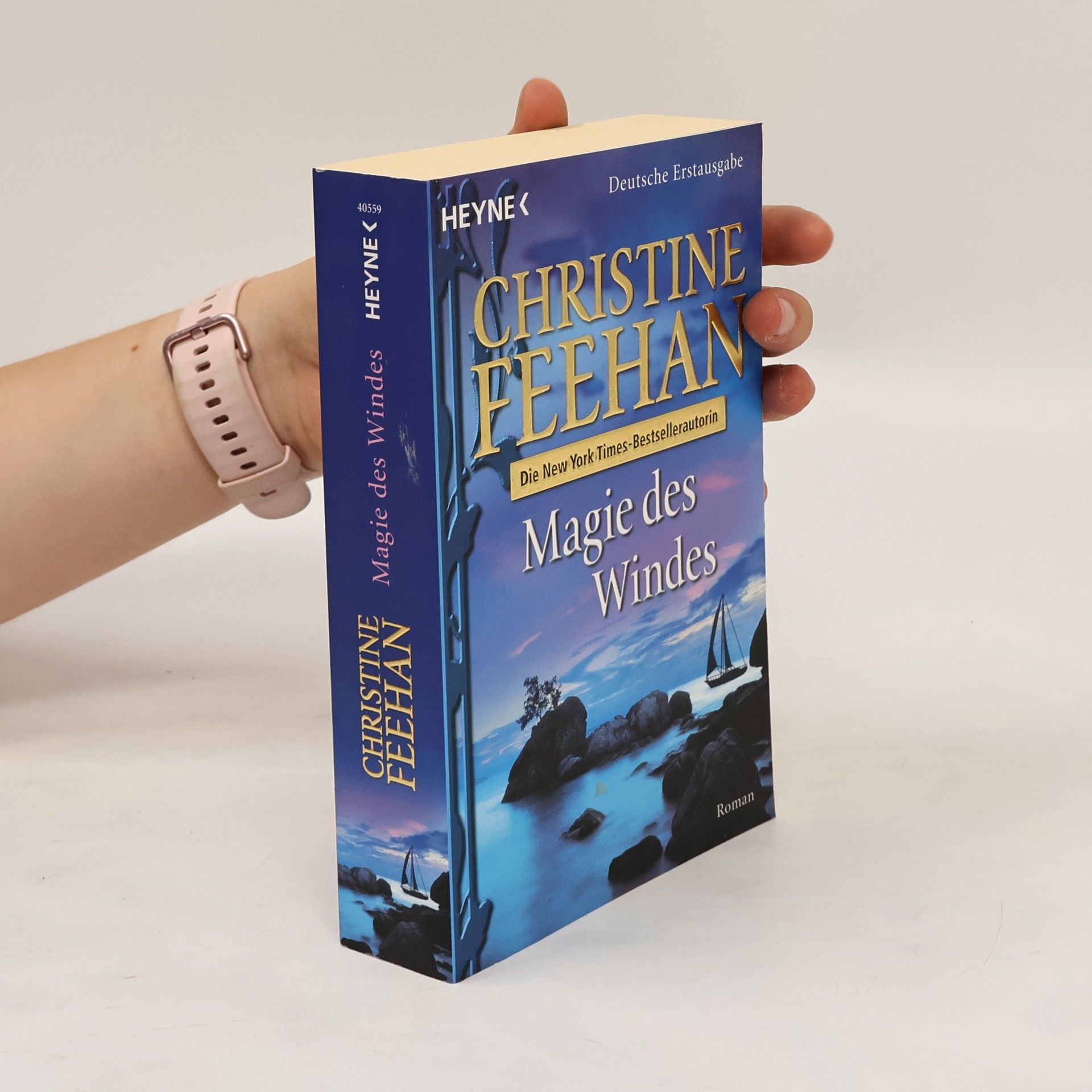Christine Feehan Magie des Windes