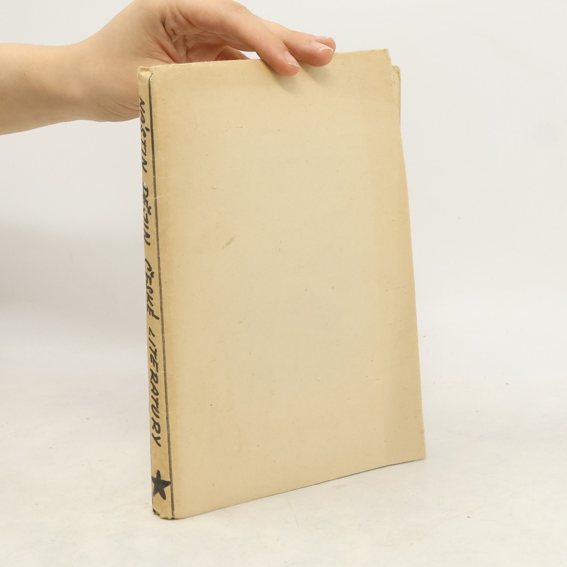 kolektiv Nástin dějin české literatury