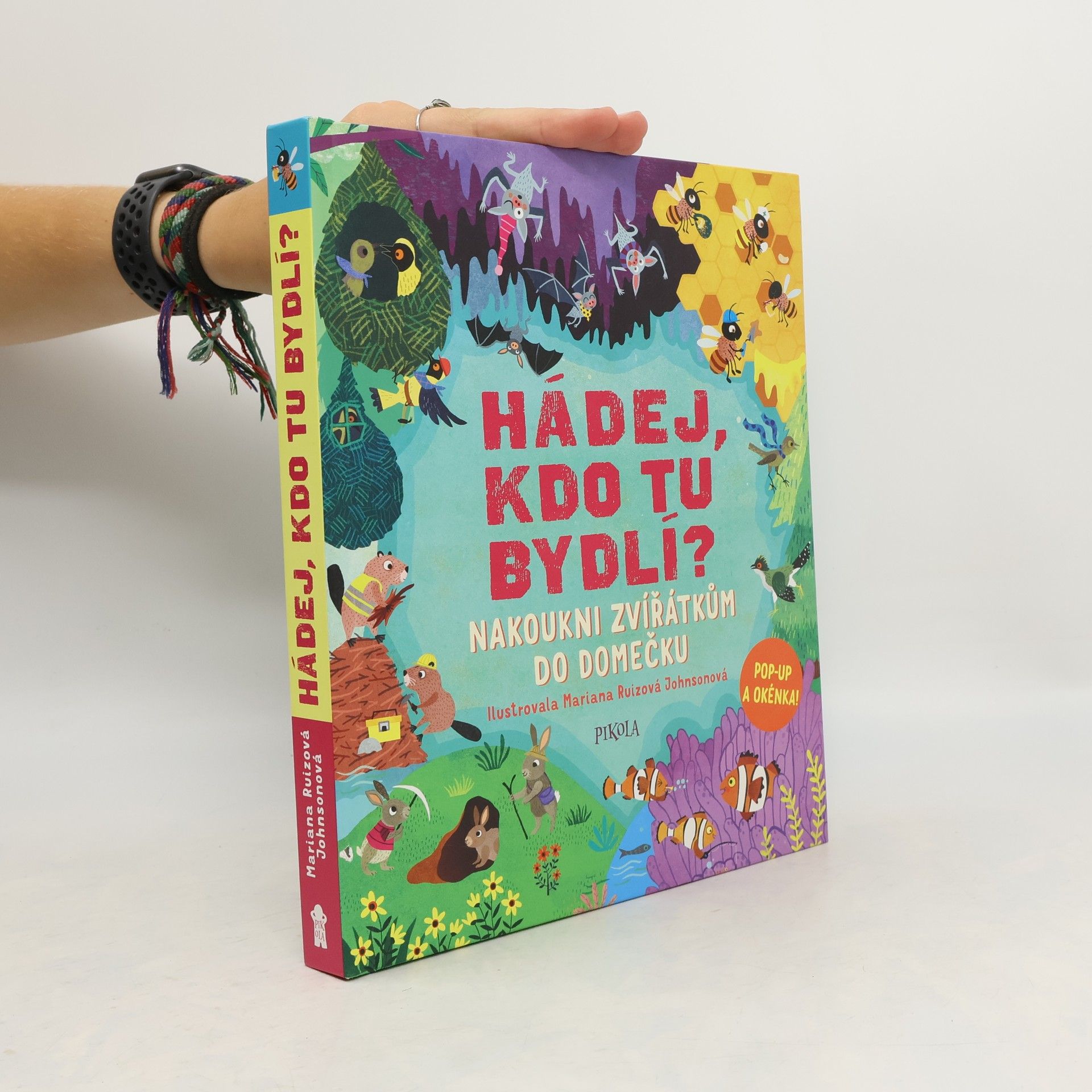 Ruth Symons Hádej, kdo tu bydlí? - Nakoukni zvířátkům do domečku