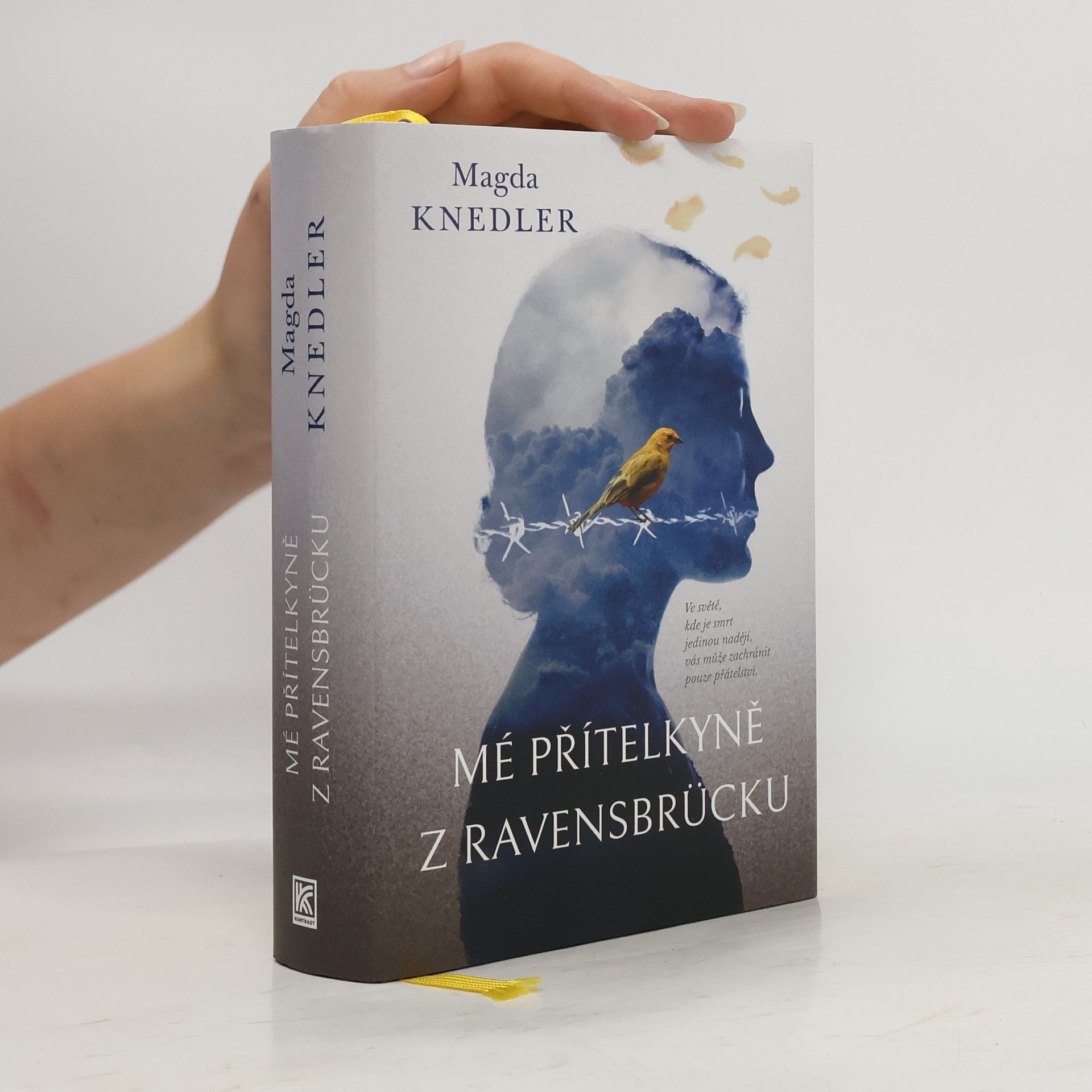 Magdalena Knedler Mé přítelkyně z Ravensbrücku