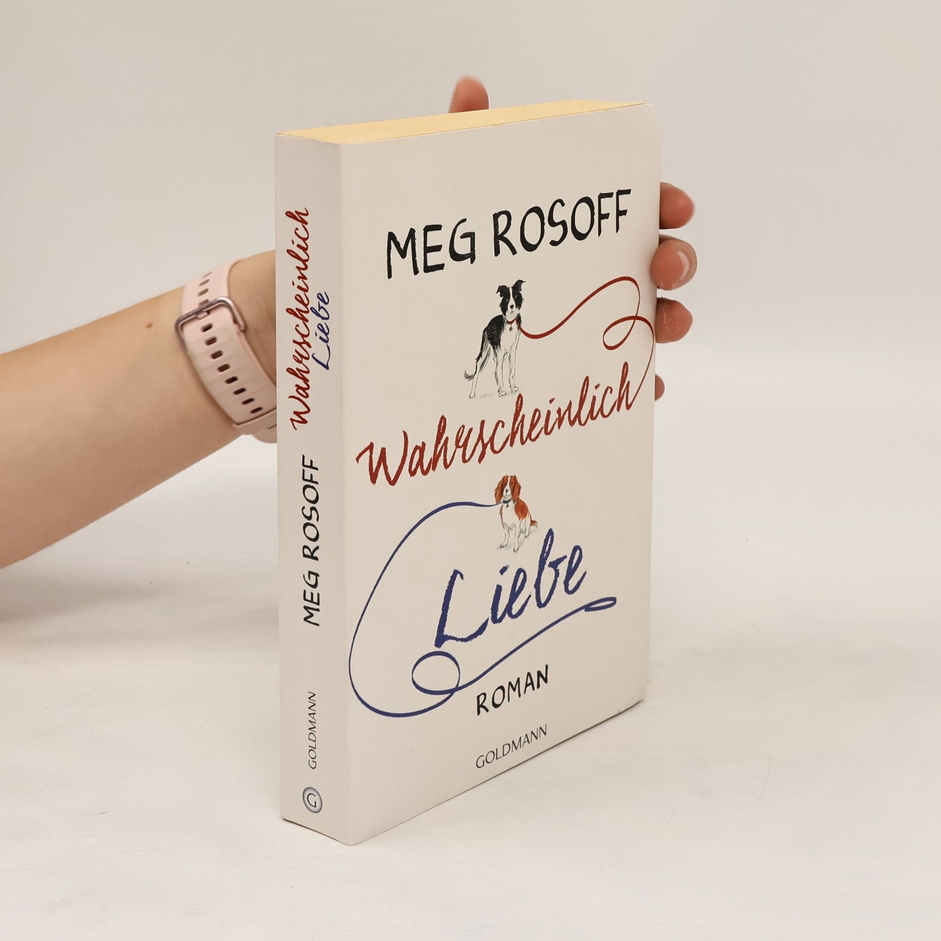 Meg Rosoff Wahrscheinlich Liebe