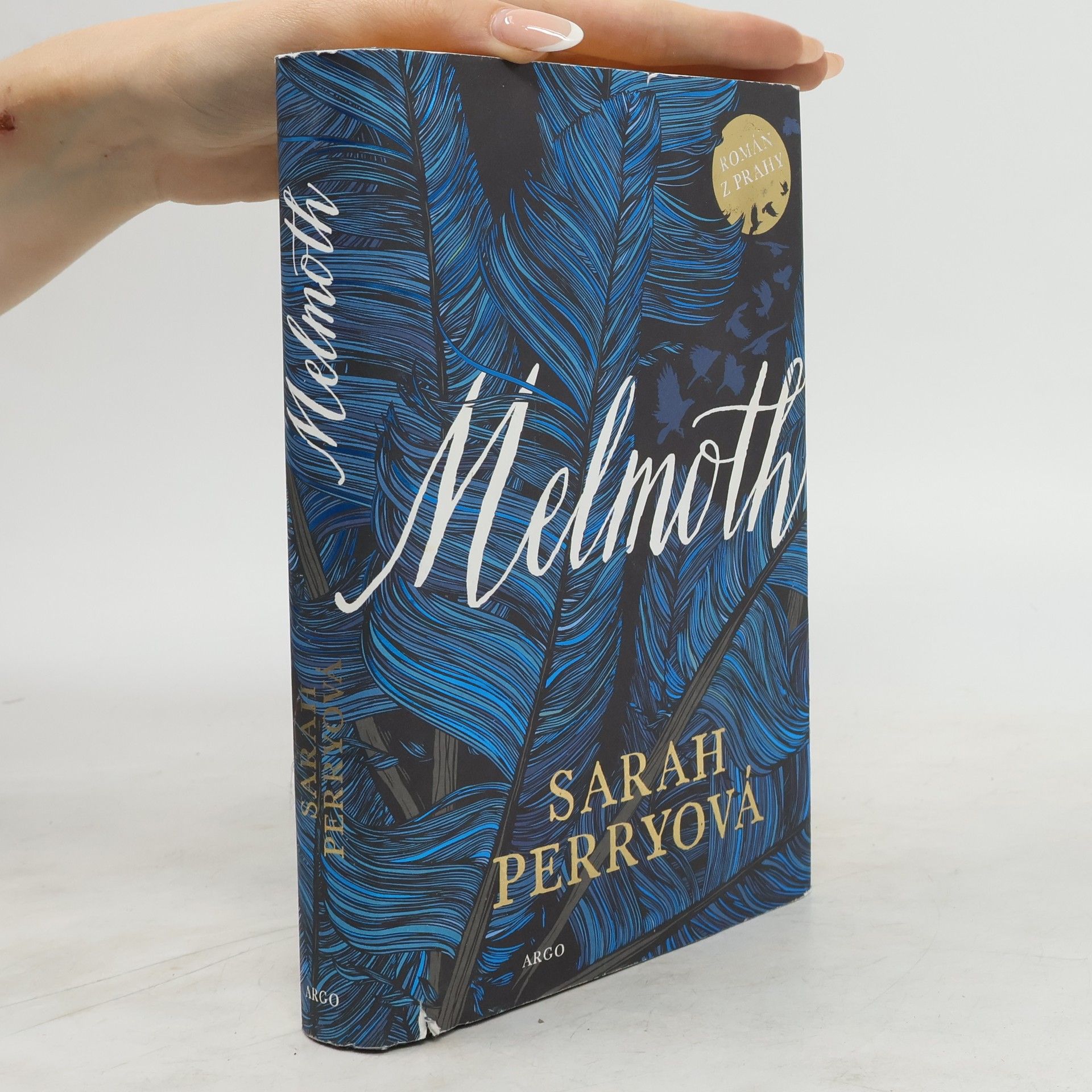 Sarah Perry Melmoth