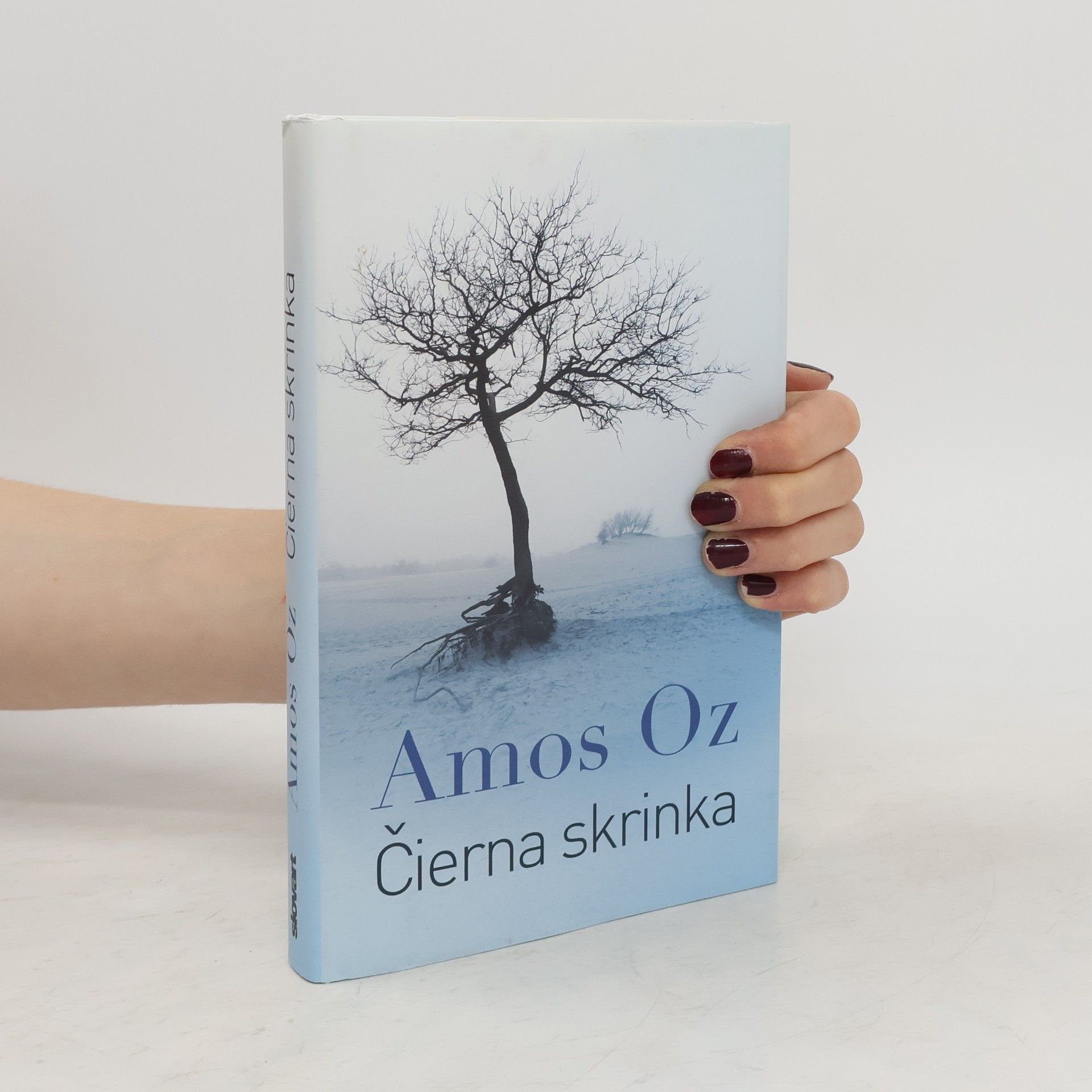 Amos Oz Čierna skrinka