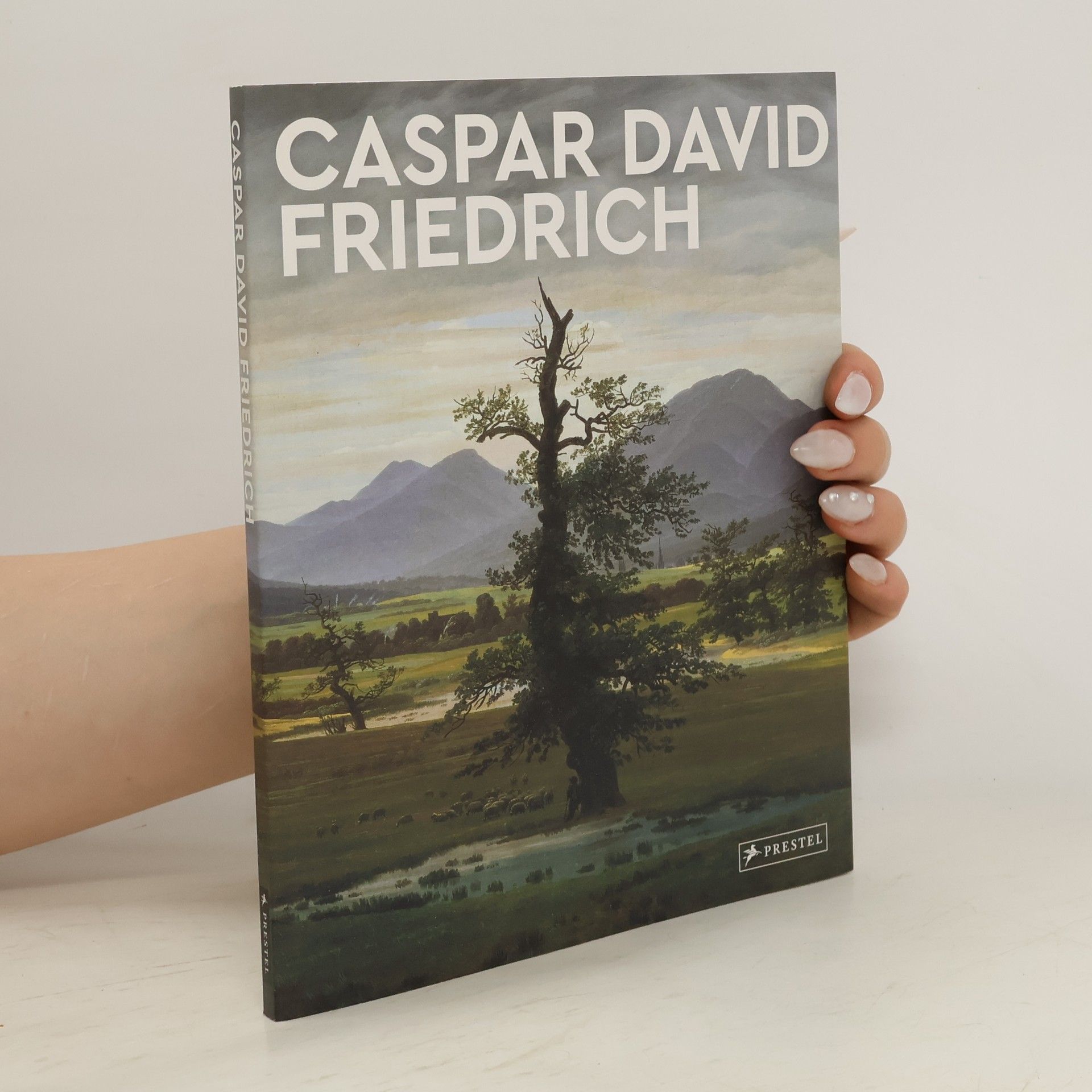 Michael Robinson Caspar David Friedrich