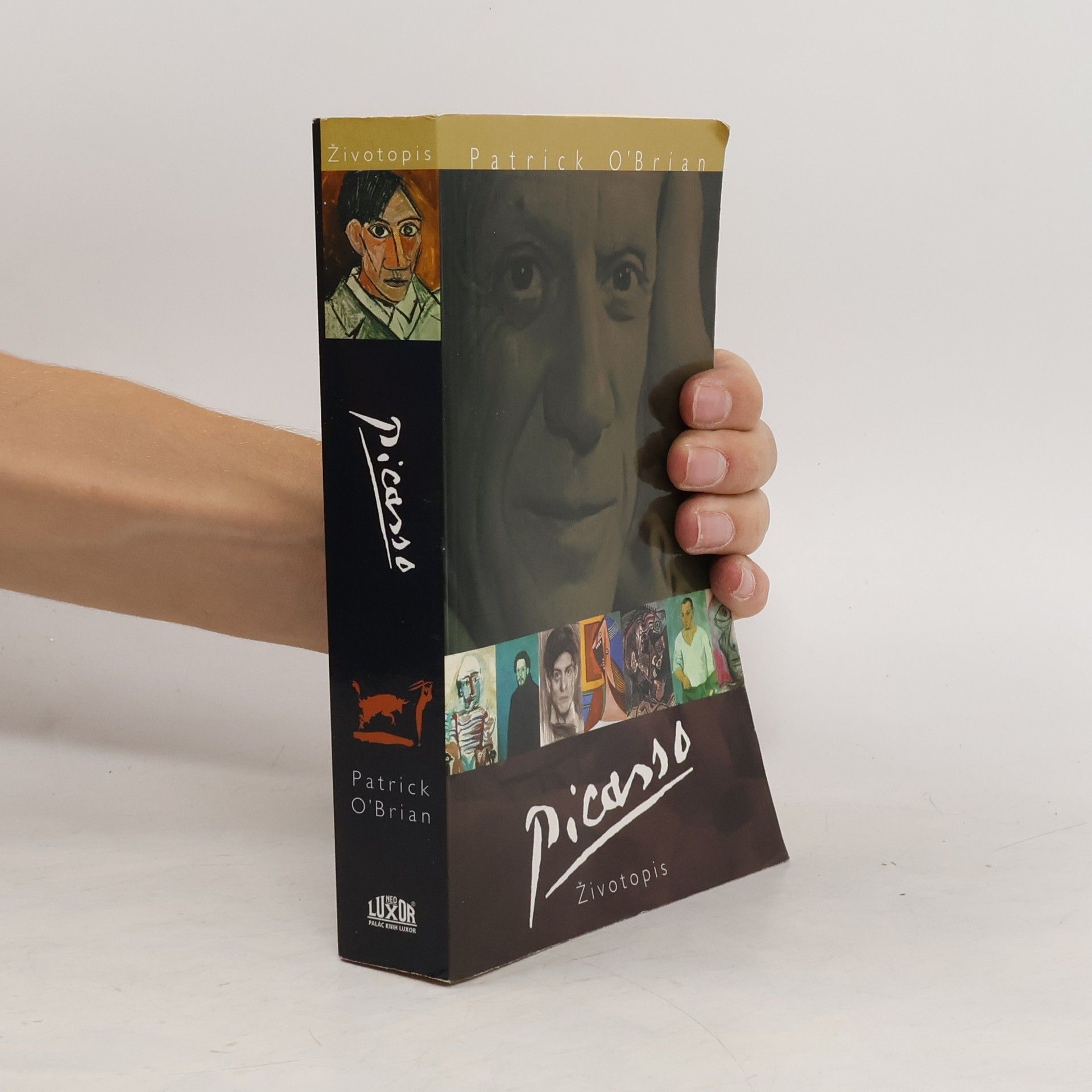 Patrick O’Brian Picasso. Životopis