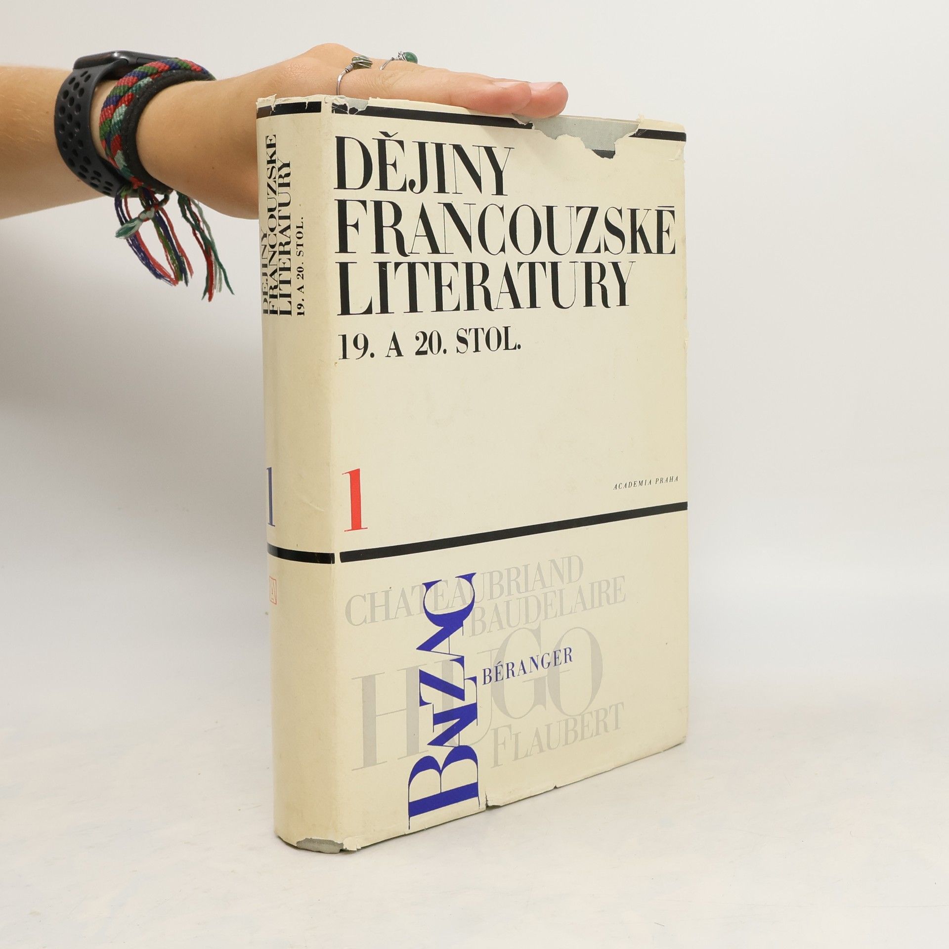 Collectif d'auteurs Dějiny francouzské literatury 19. a 20. století. Díl 1