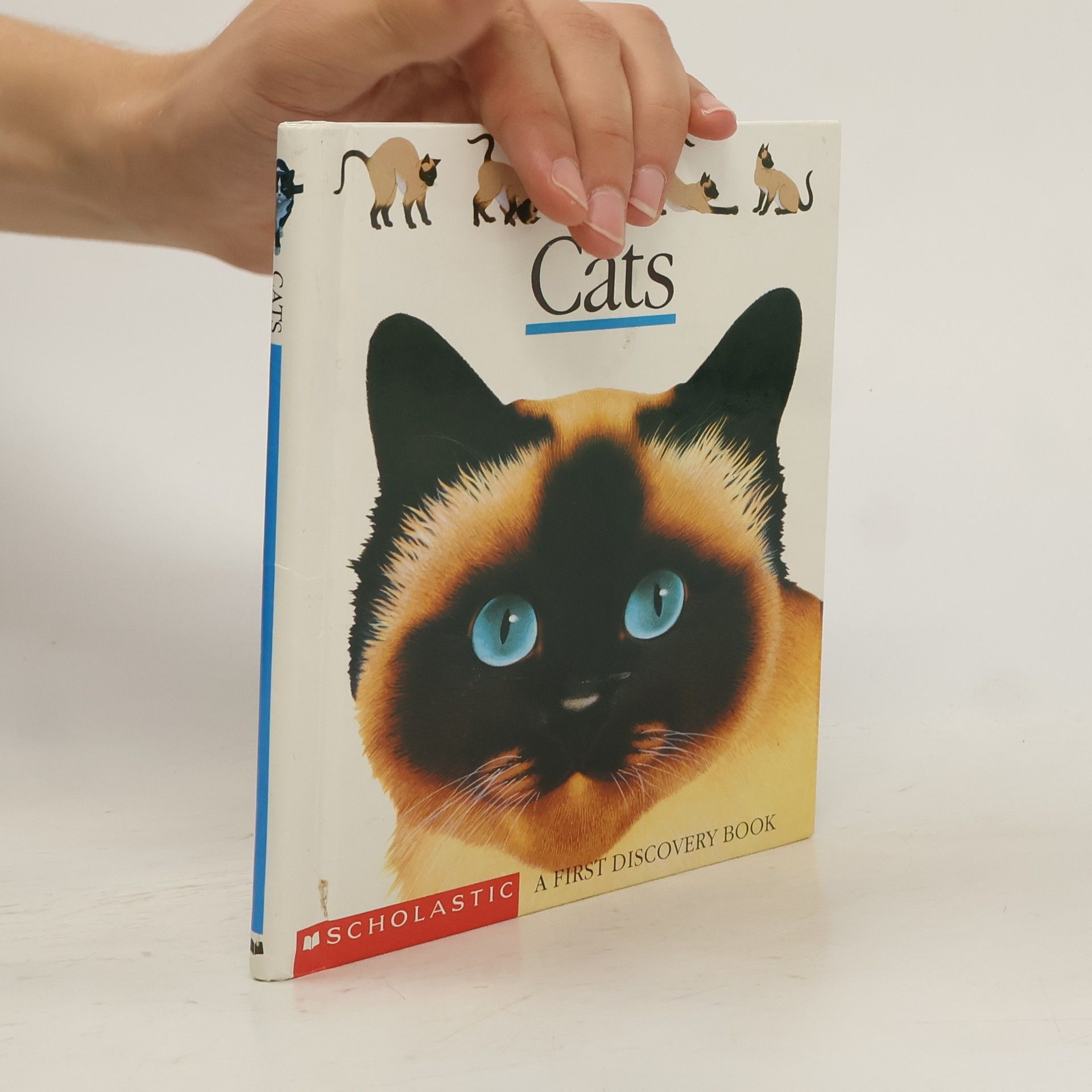 Gallimard Jeunesse Cats
