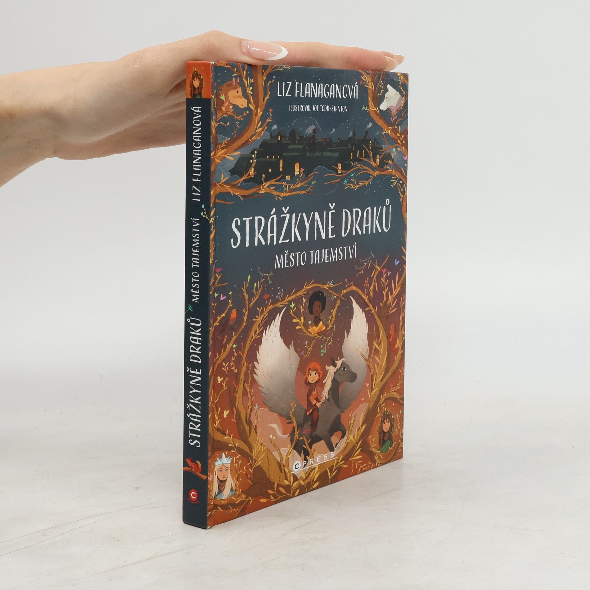 Liz Flanagan Strážkyně draků. Město tajemství